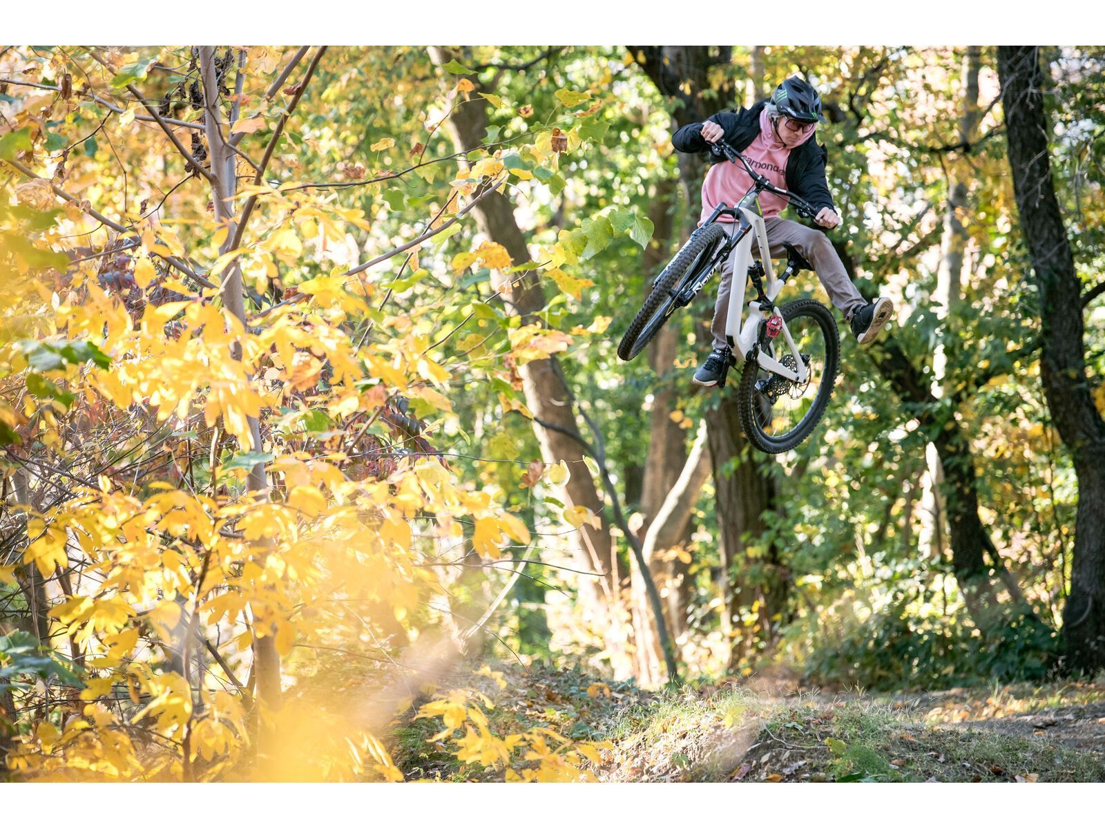 Cannondale Habit Carbon LT 1, chalk - Bild 25