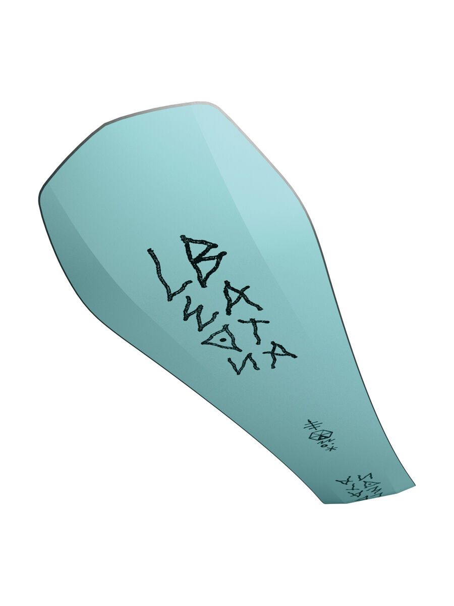 Bataleon Disaster - Bild 28