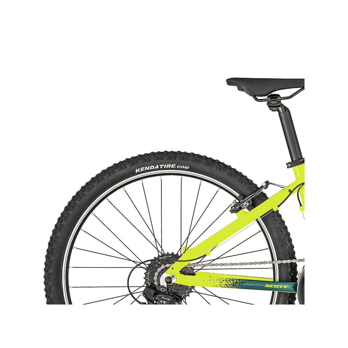 Scott Roxter 620 - Bild 6