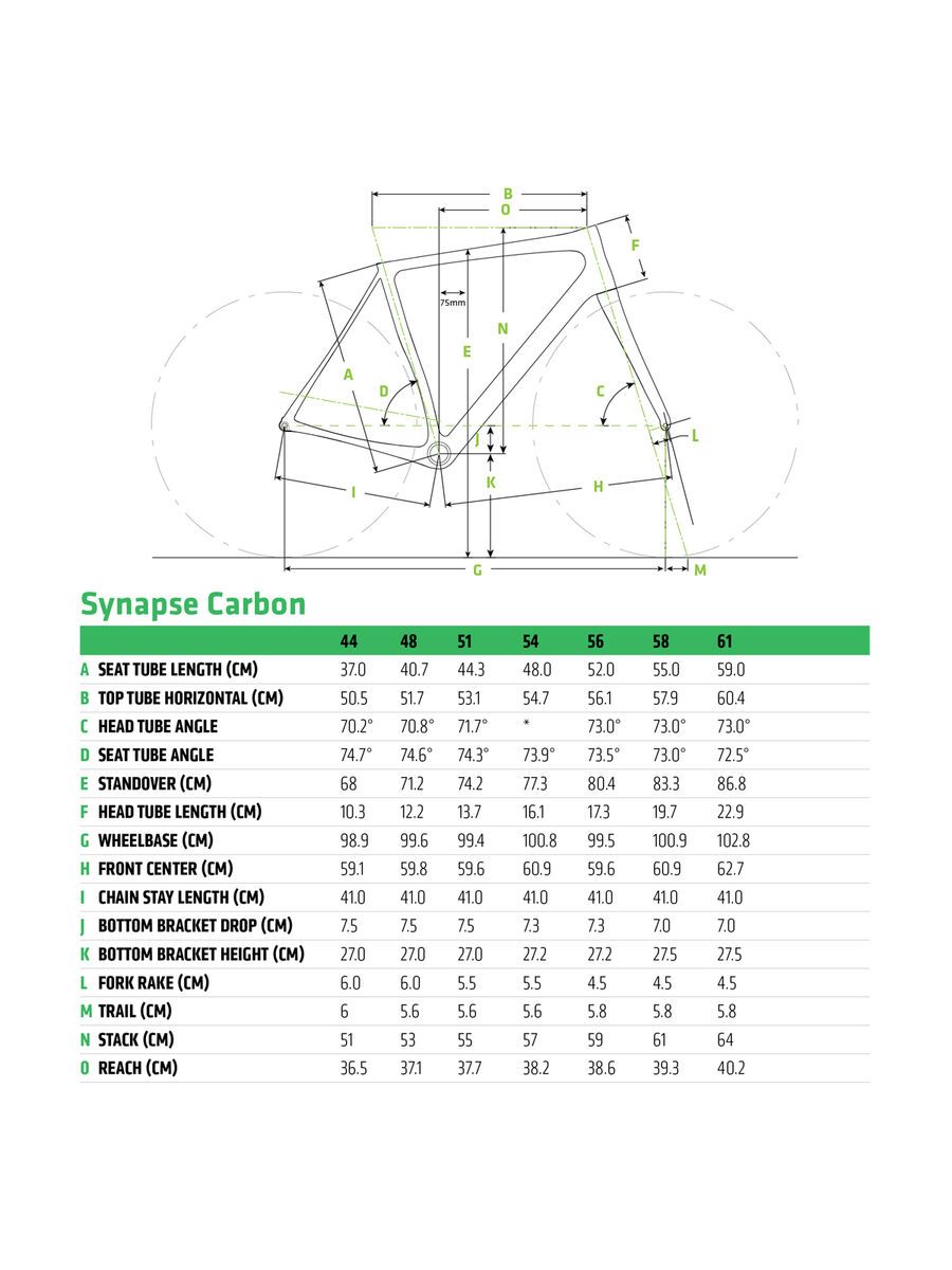 Cannondale Synapse Carbon Disc Ultegra Di2, emerald - Bild 3