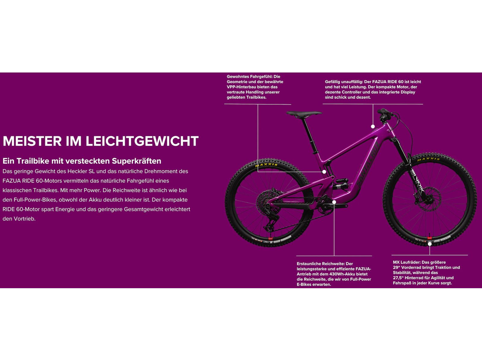 Santa Cruz Heckler SL C / GX AXS / MX, matte silver - Bild 2