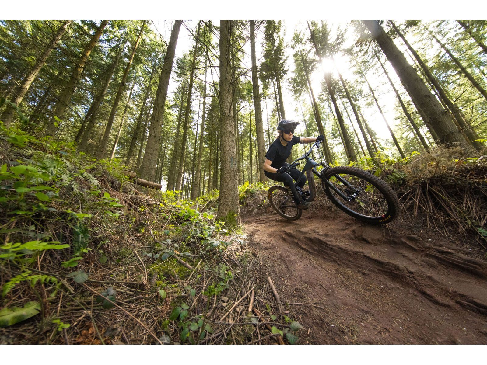 Juliana Roubion C / XT / MX, blue steel/purple - Bild 10