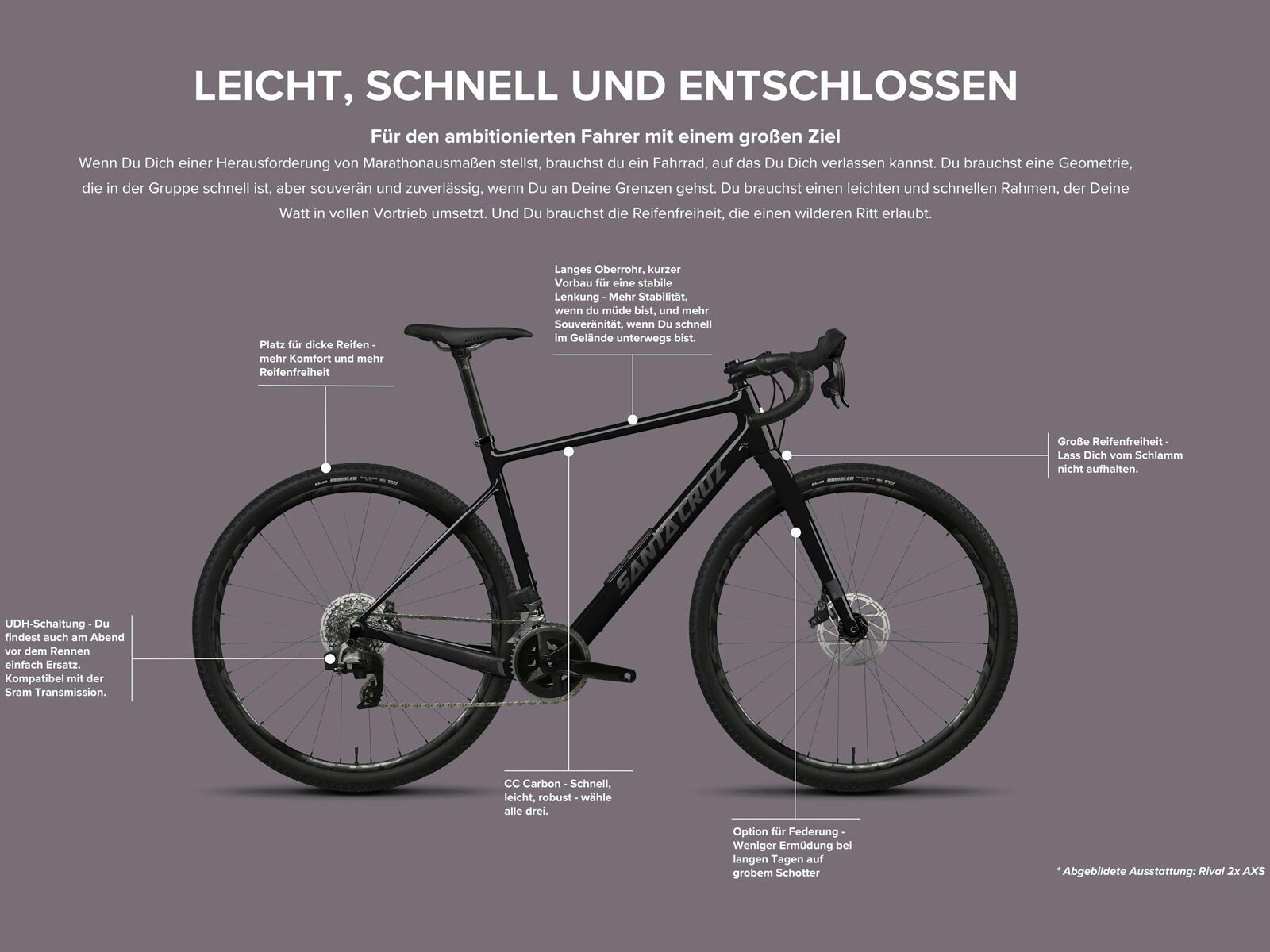 Santa Cruz Stigmata CC / Rival 2x AXS, gloss purple granite - Bild 2