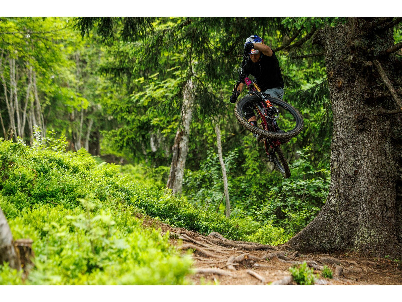 Santa Cruz Bronson C / R / MX, translucent root beer - Bild 18