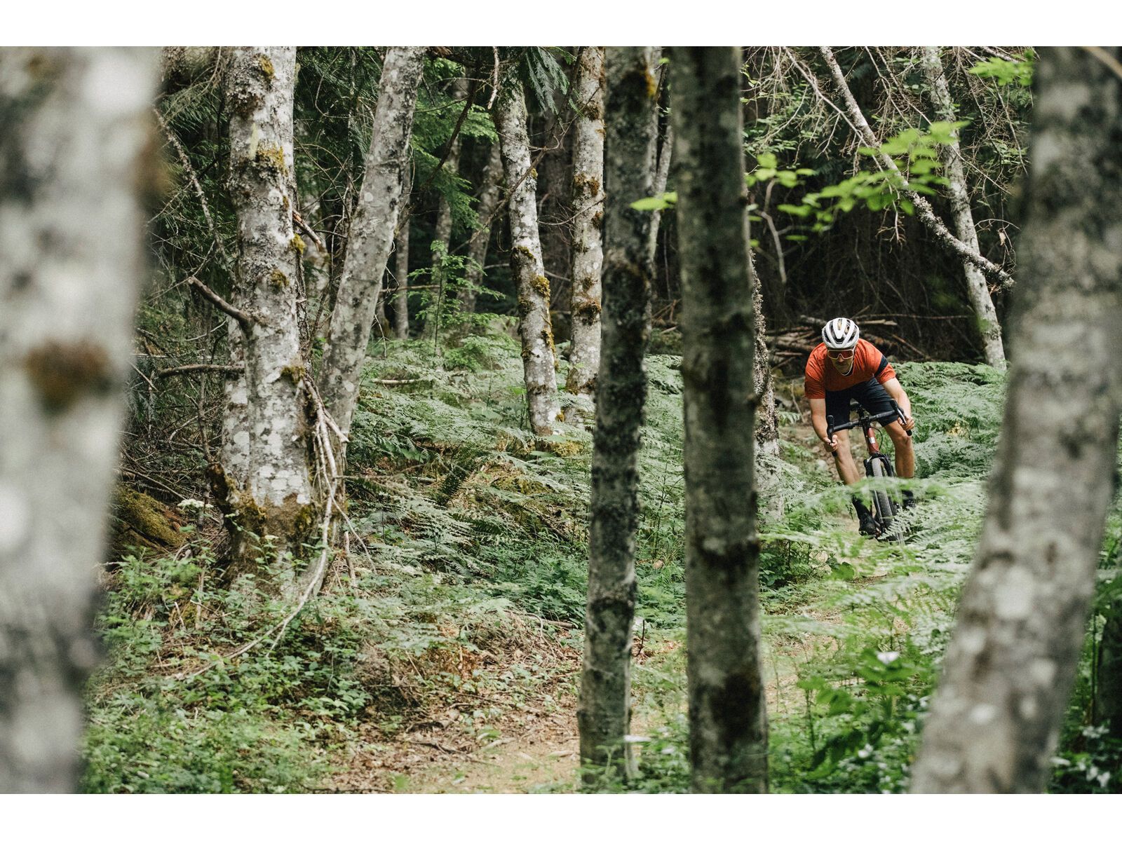 Santa Cruz Stigmata CC / Apex, british racing green - Bild 11