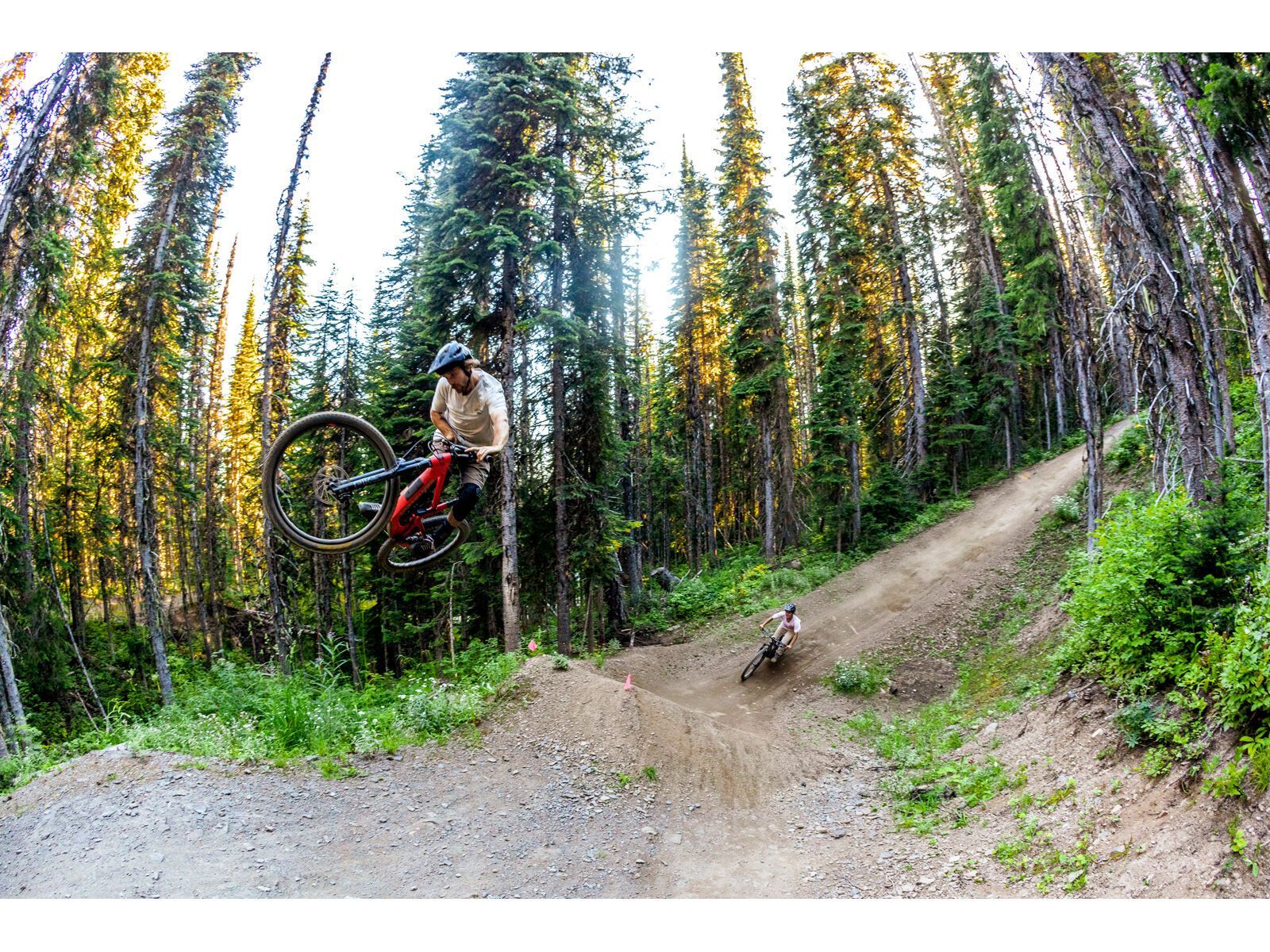 Santa Cruz 5010 C / GX AXS / RSV / MX, matte nickel - Bild 12