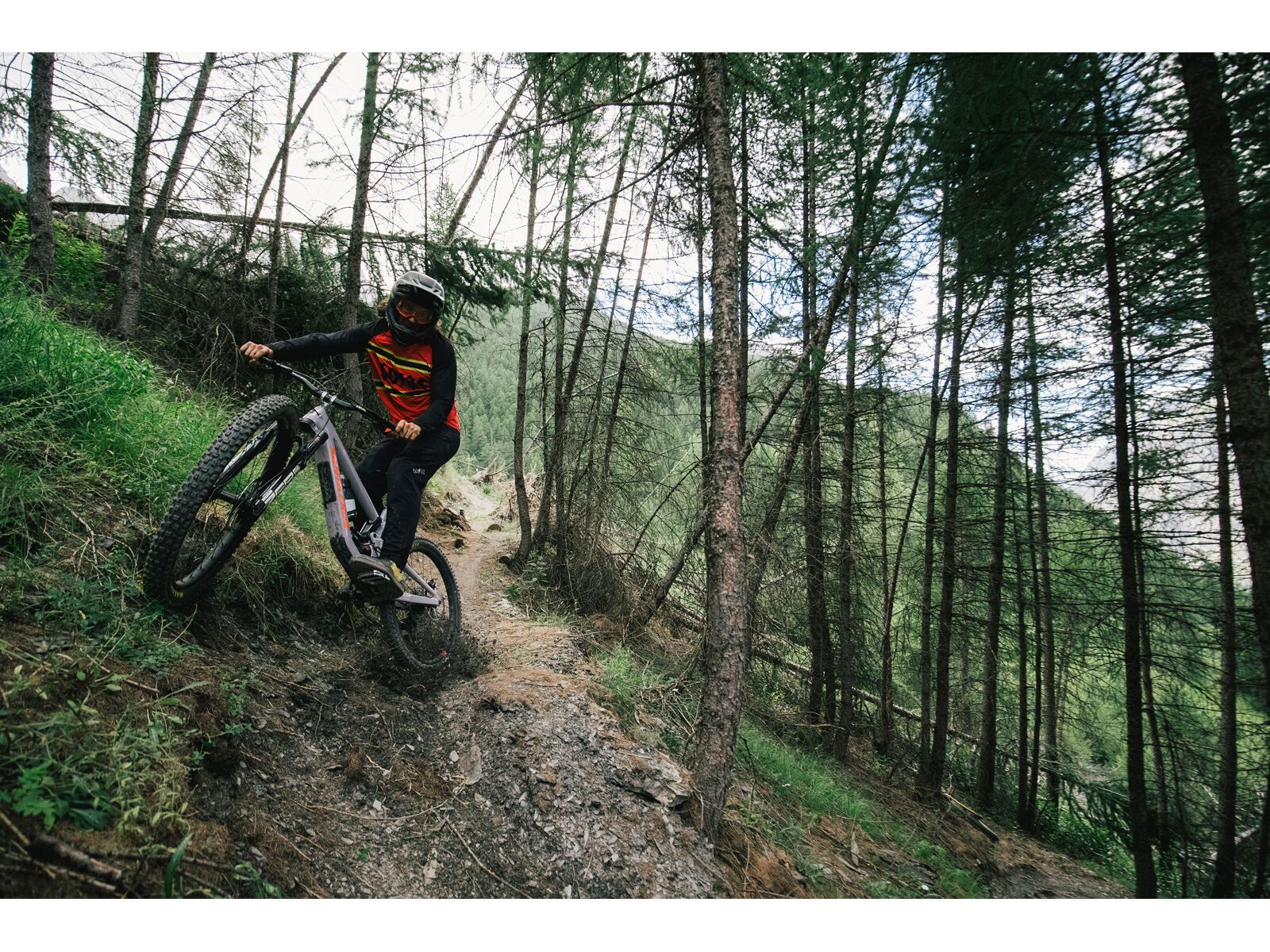 Santa Cruz Nomad C / R / MX, matte carbon - Bild 14