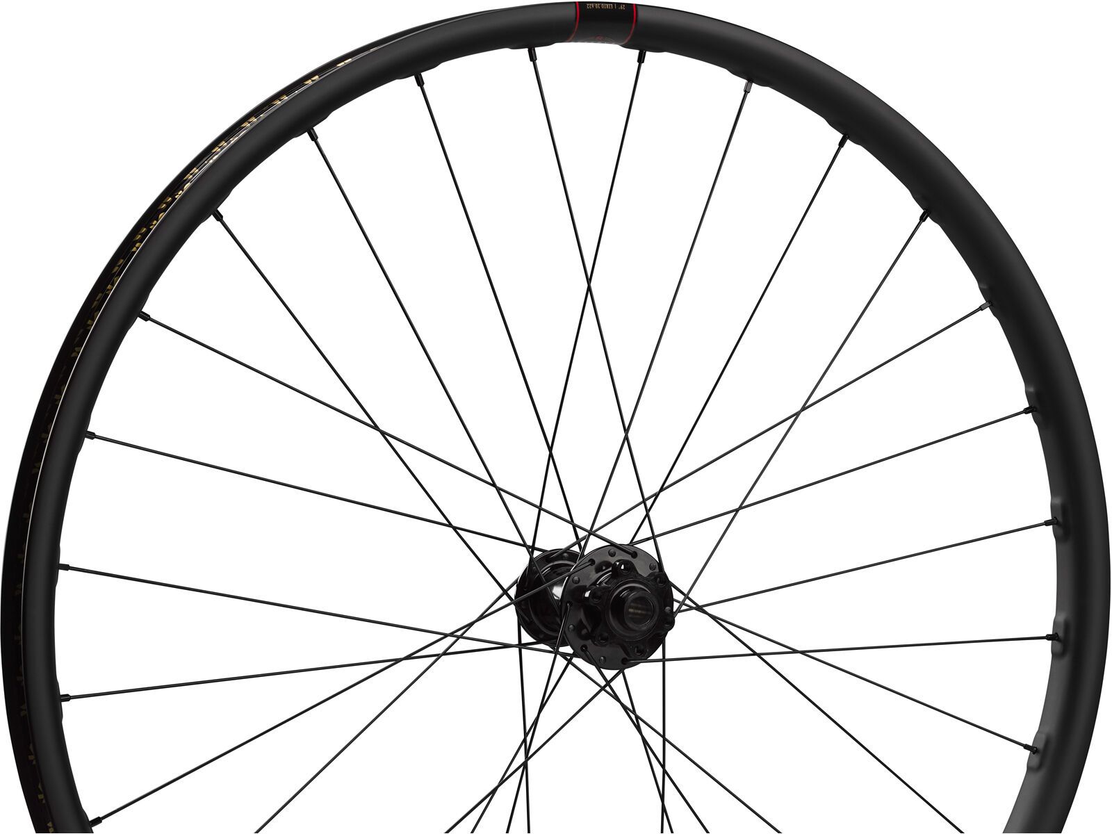 Reserve 30|HD / i9 Hydra / XD / 6-Loch - 29 Zoll - Bild 2