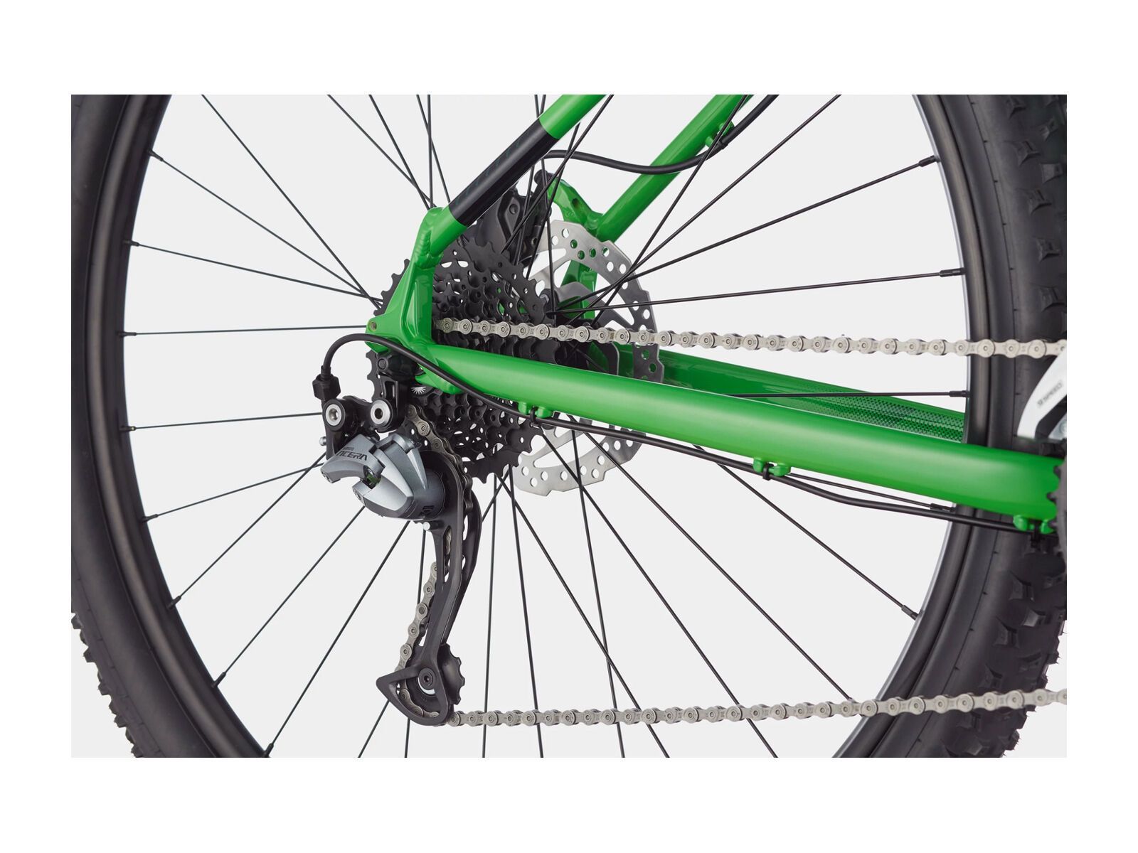 Cannondale Trail 7 - 29, green - Bild 5