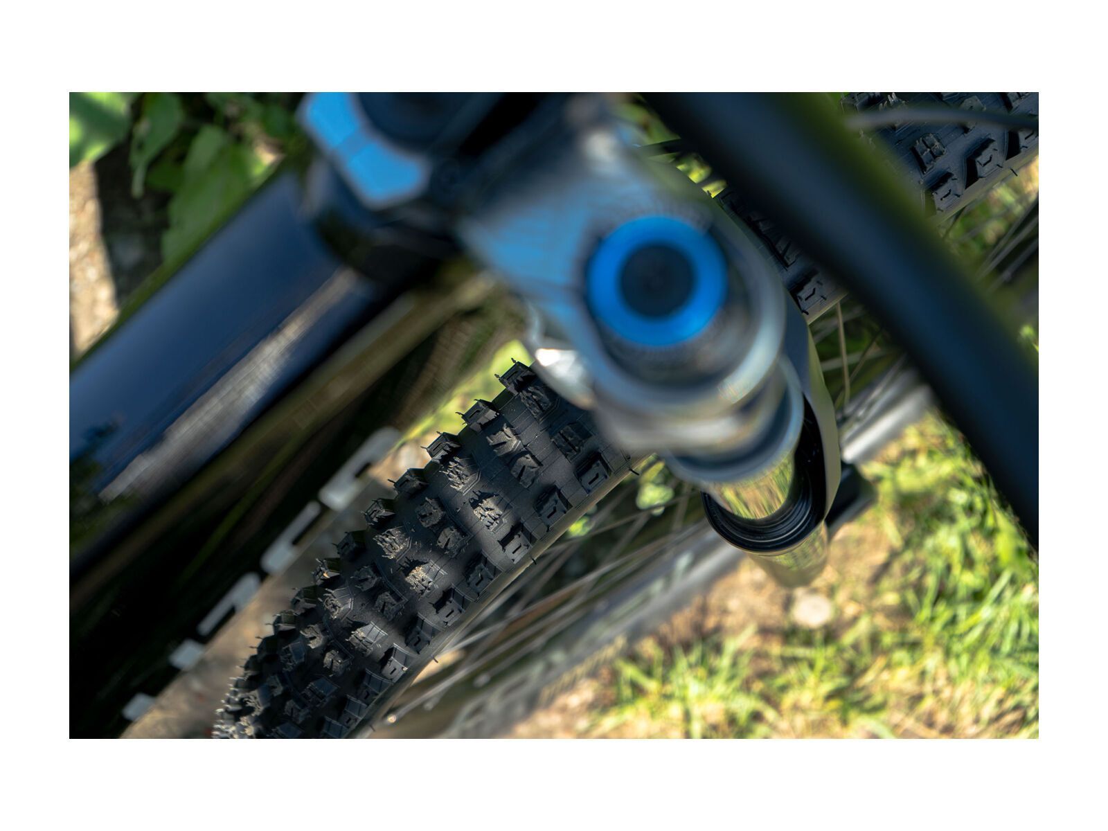 Specialized Butcher Grid Gravity 2Bliss Ready T9 - 29 Zoll - Bild 4