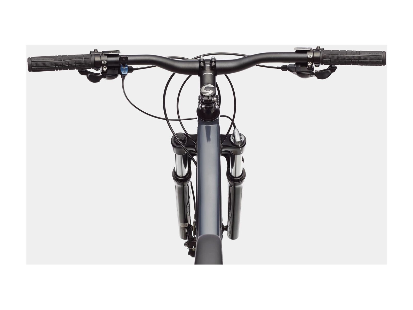 ***2. Wahl*** Cannondale Trail 6 - 29 slate gray 2022 - Bild 3