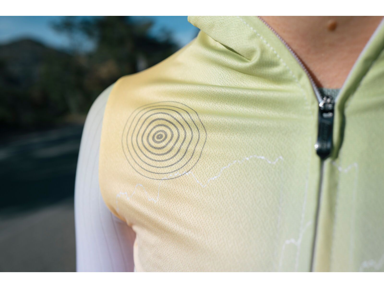 Q36.5 Gregarius Pro QLAB Jersey Women, lilla purple - Bild 4