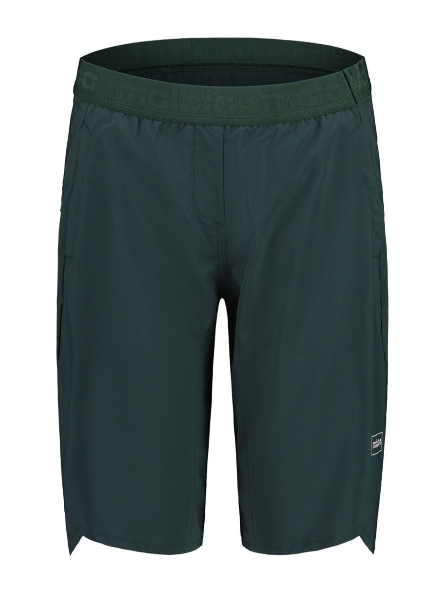 Maloja ValgrandeM., mountain pine - Bild 1