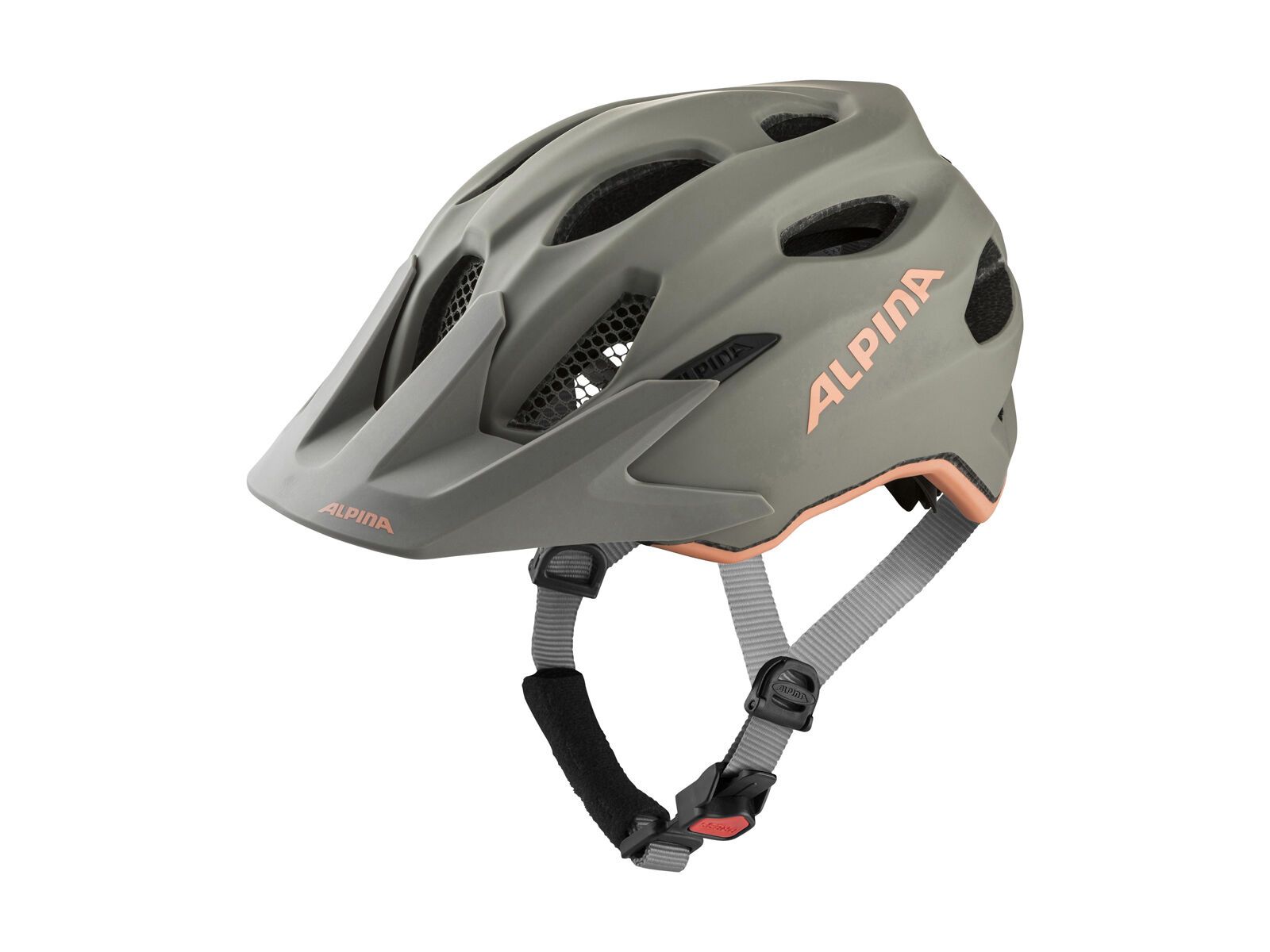 Alpina Carapax Jr. Flash, moon-grey-peach matt - Bild 1