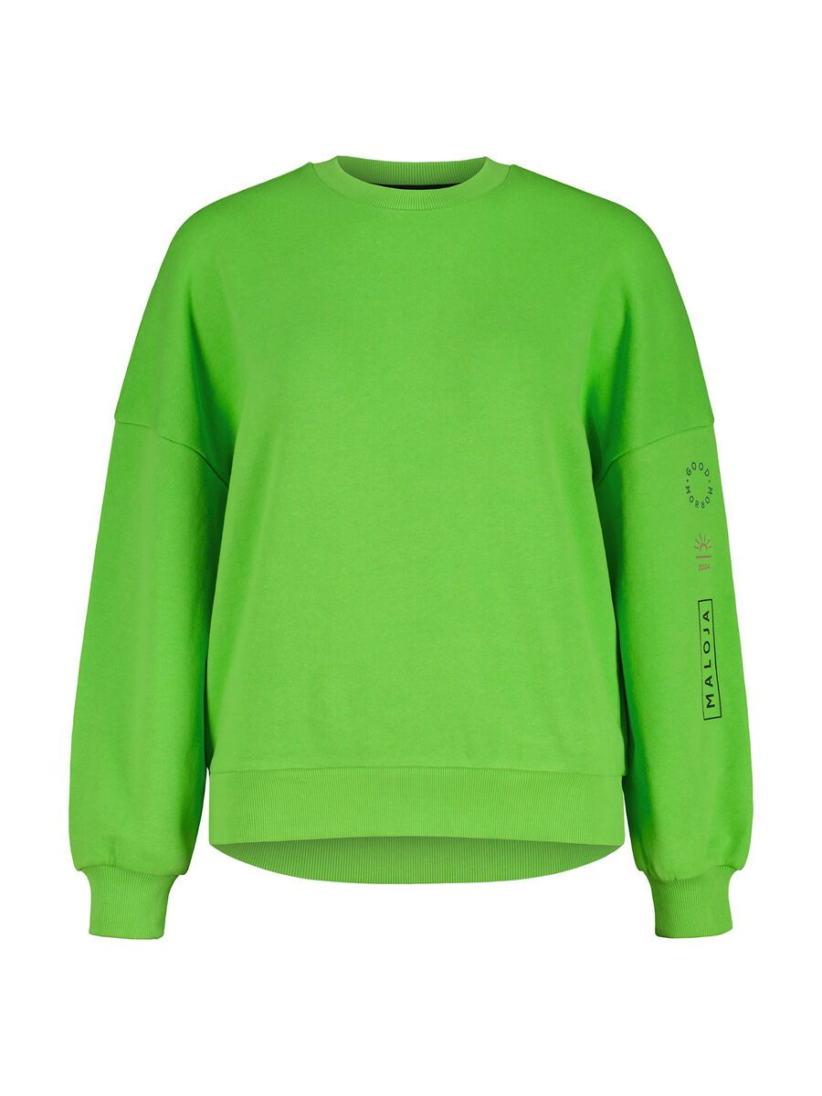 Maloja ElmseeM., northern light - Bild 1