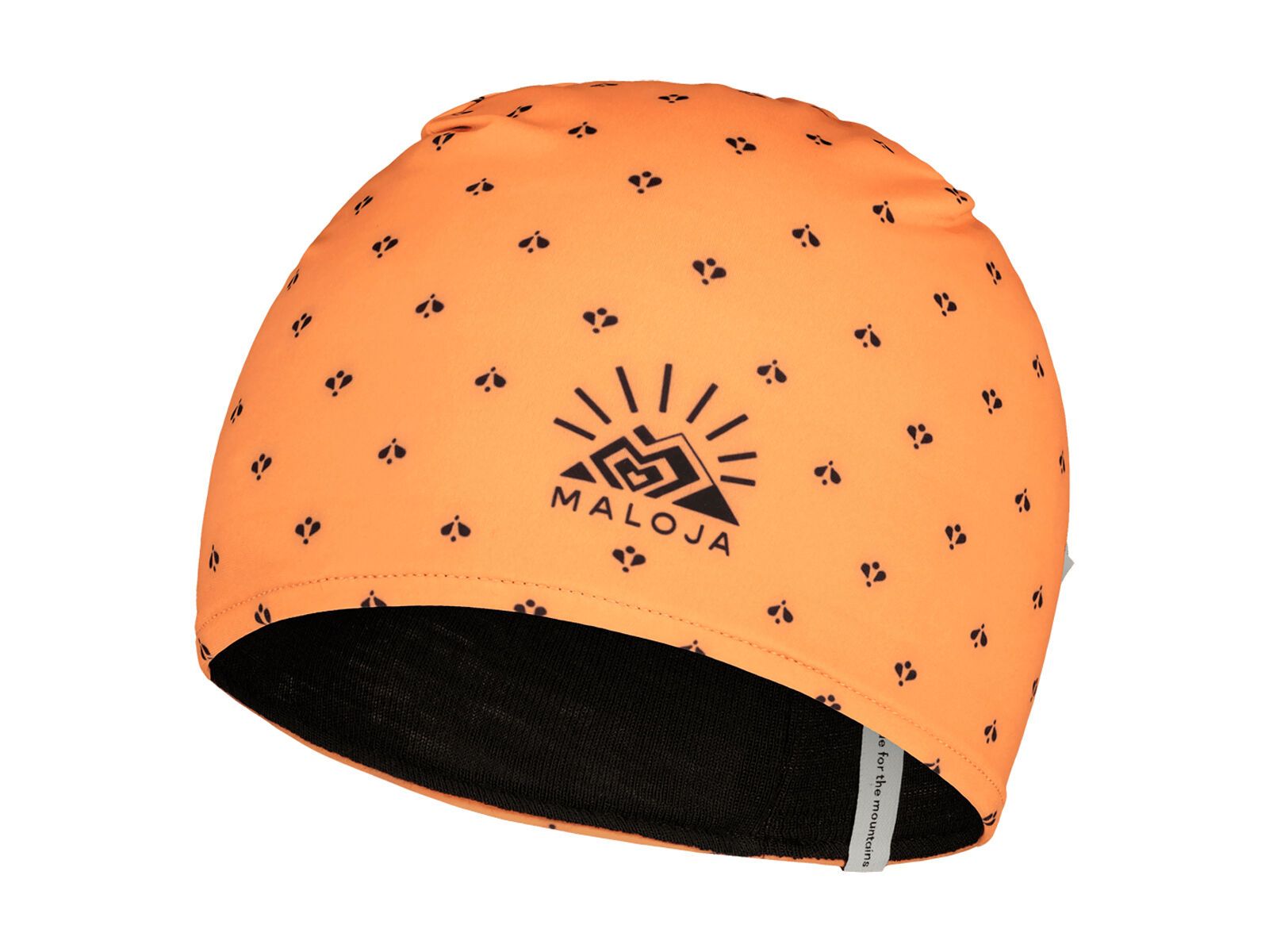 Maloja HaussperlingM., glowing alps - Bild 1