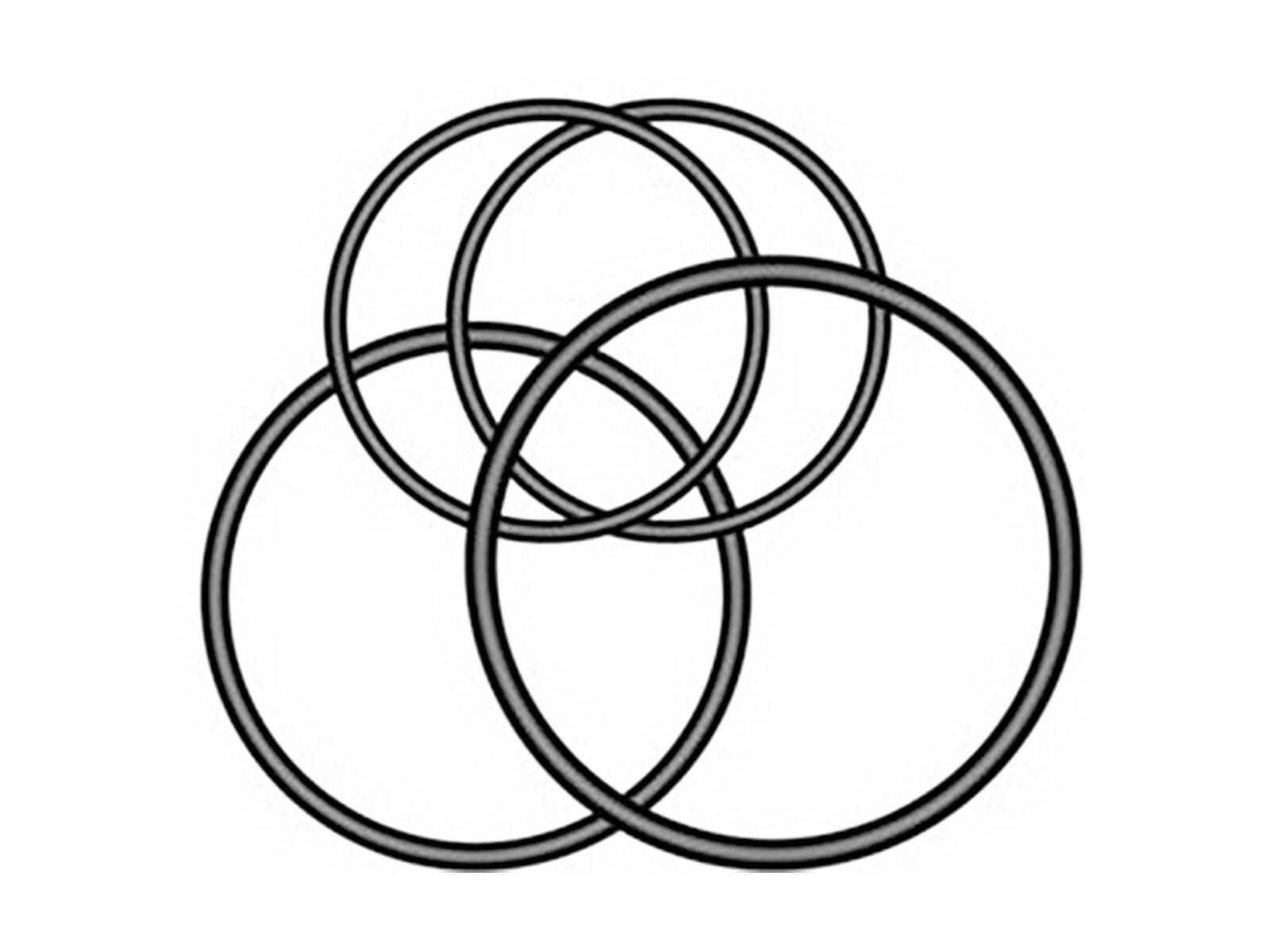 Garmin Varia O-Ringe für Rücklicht Universalhalterung - Bild 1