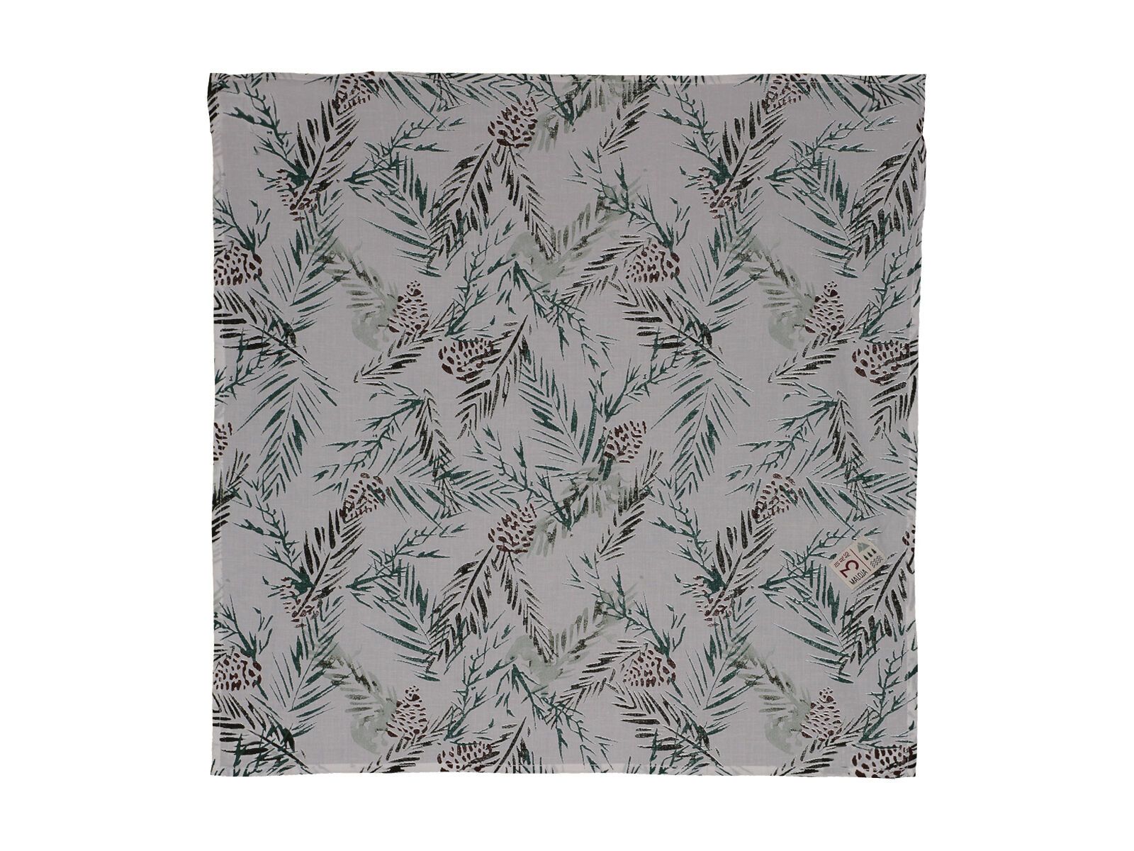 Maloja TadeusM., stone pine pinewood - Bild 1