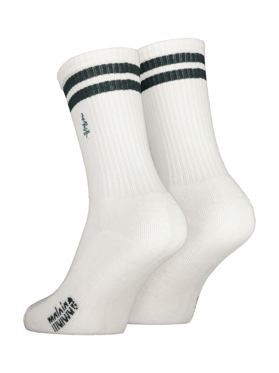 Maloja MandrazM., mountain pine - Bild 1