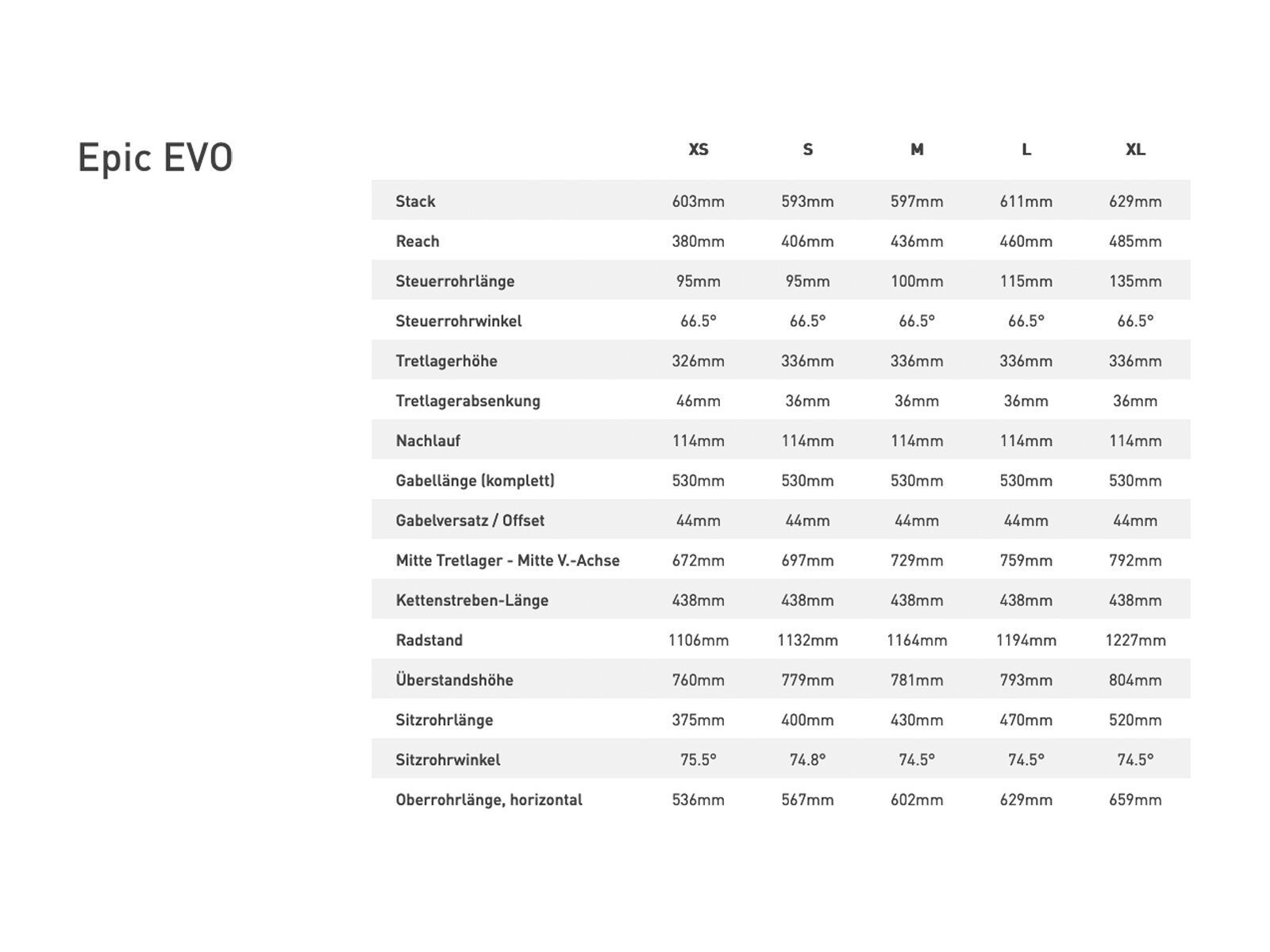 Specialized Epic Evo Pro LTD, metallic deep lake/gold metallic - Bild 10