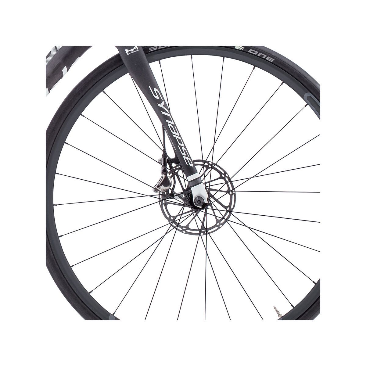 Cannondale Synapse Carbon Hi-Mod Red Disc, jet black with magnesium white, matte - Bild 2