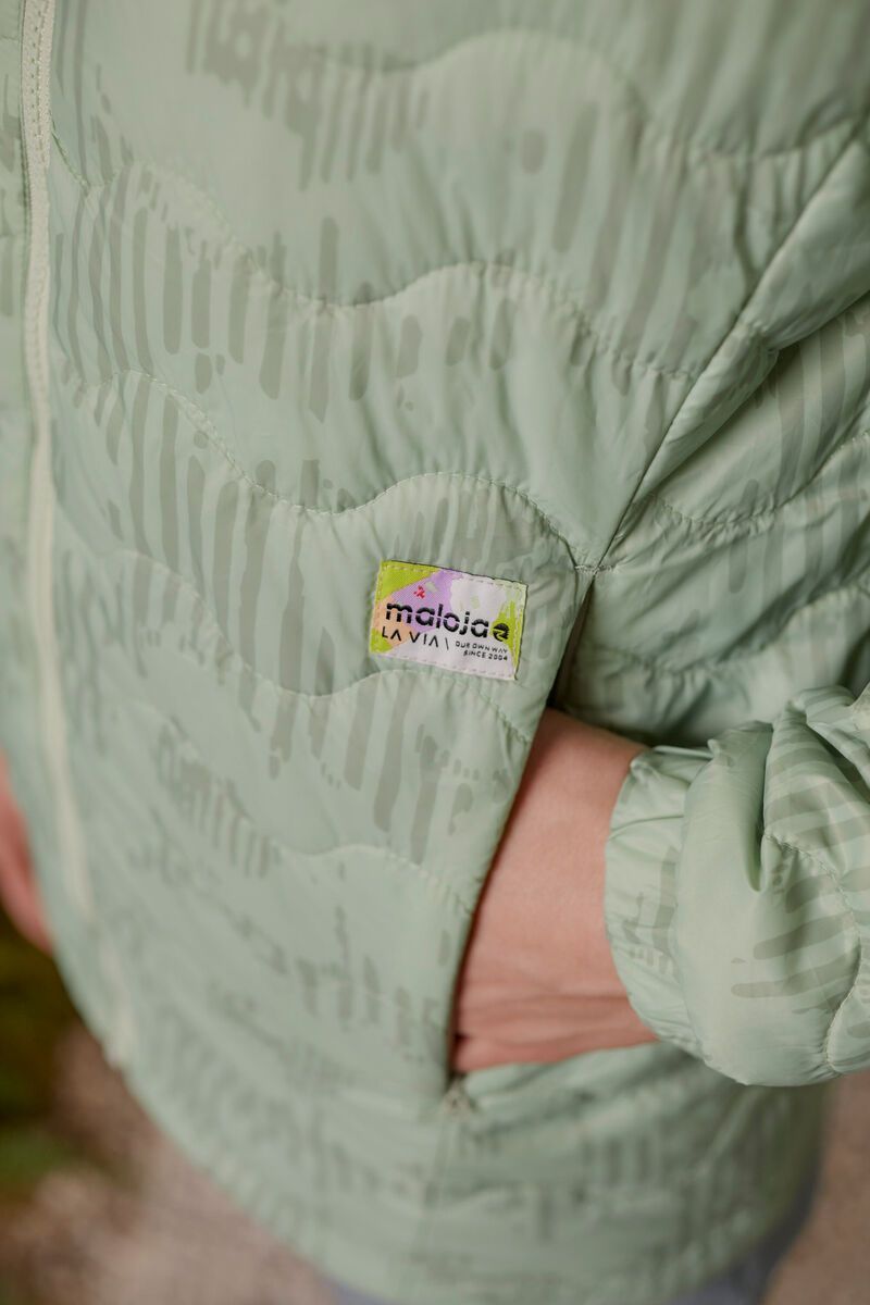 Maloja SalanzadaM., fennel stripeflower - Bild 3