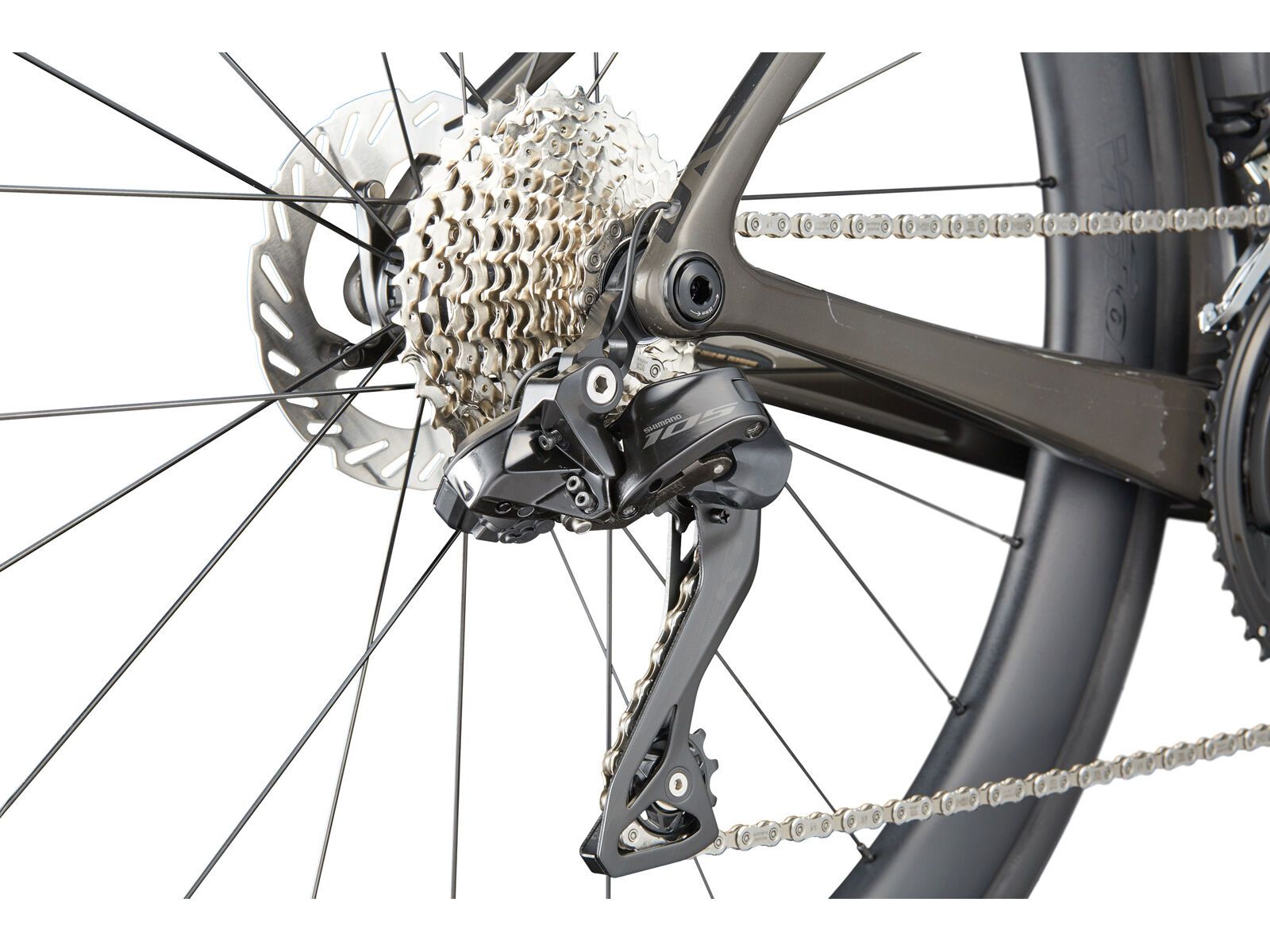 Cannondale SuperSix Evo Carbon 5, raw - Bild 5