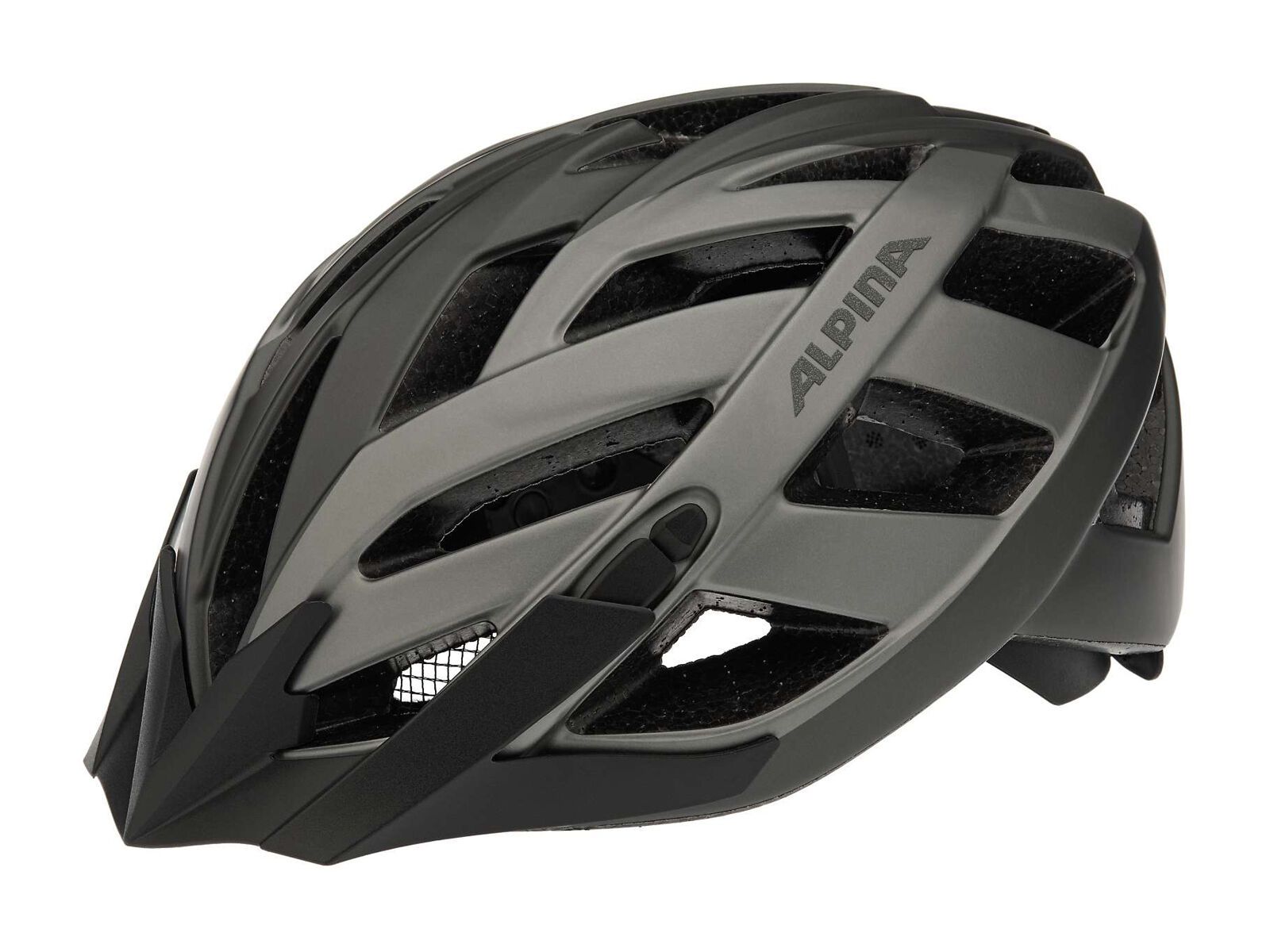 Alpina Panoma L.E., darksilver titanium - Bild 1