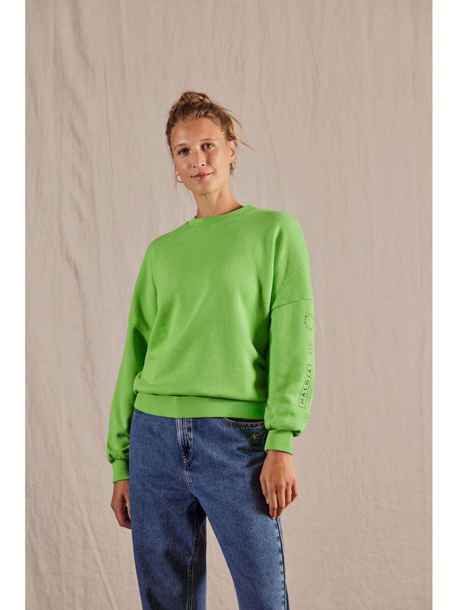 Maloja ElmseeM., northern light - Bild 3