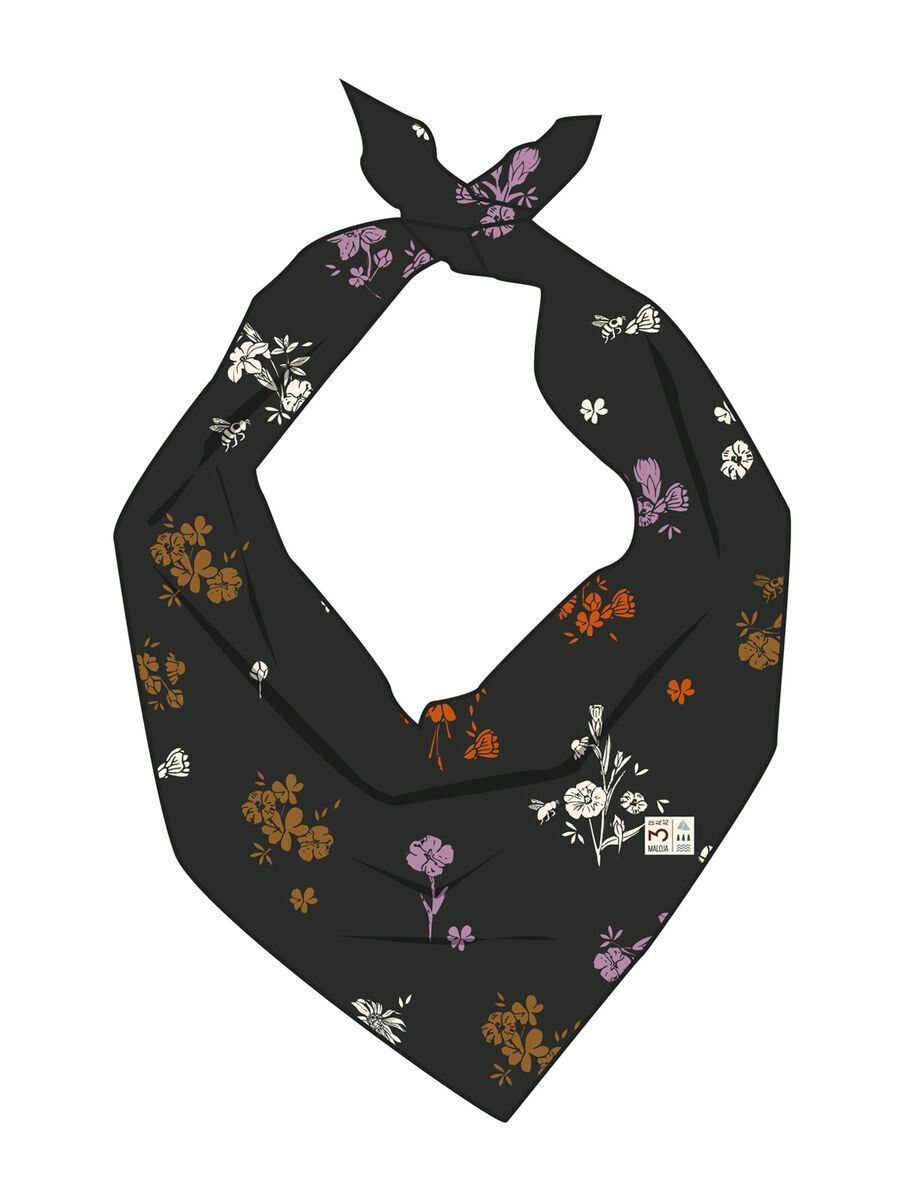 Maloja TadeusM., moonless mountain meadow - Bild 3