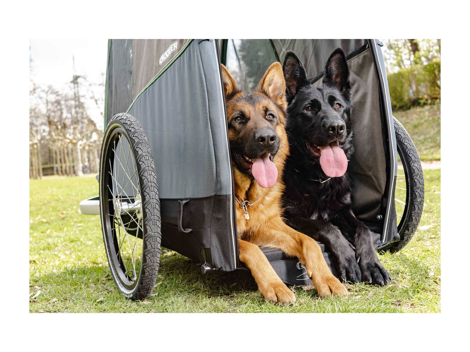 Croozer Dog Bruuno, pine green - Bild 8