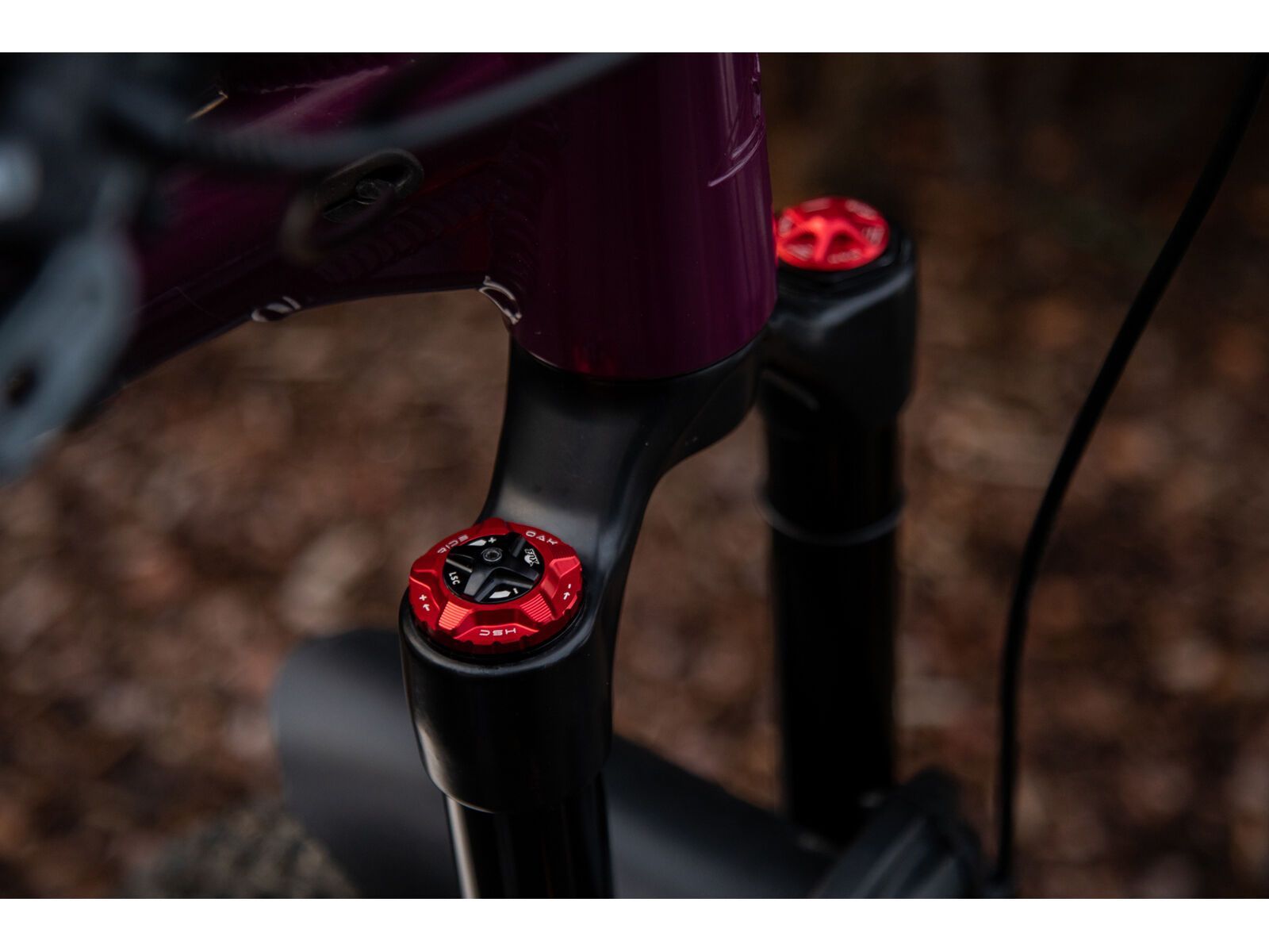 OAK Components Forkcap HSC für Fox 34, 36, 38, 40, red - Bild 2