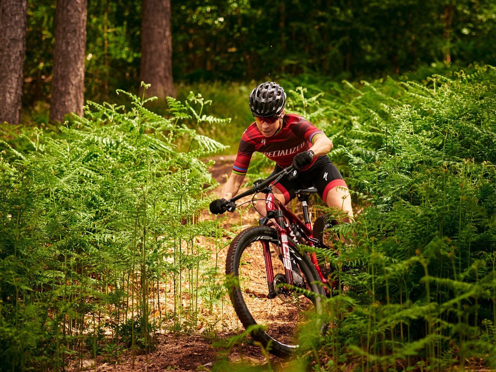 Specialized S-Works Epic Frameset, carbon/cobalt/brassy yellow - Bild 5