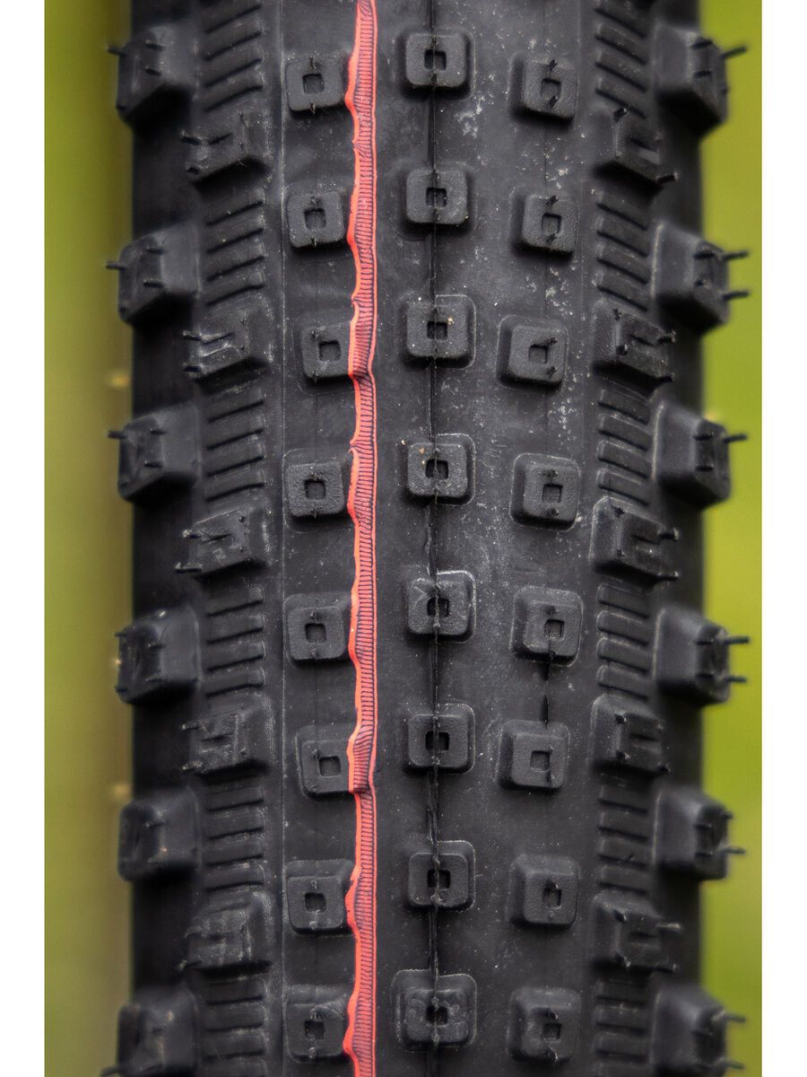 Schwalbe Rick XC Pro Evo Addix Speed TLR - 29 Zoll, transp. sidewall - Bild 6
