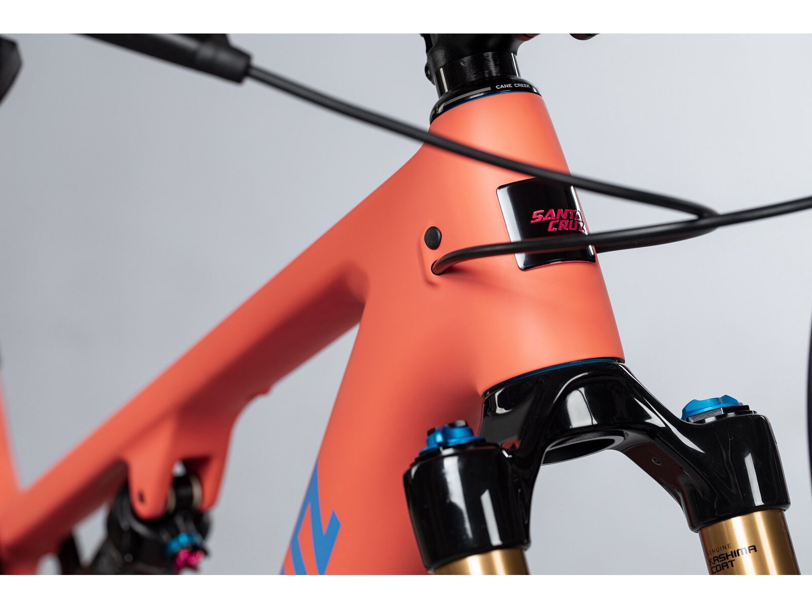 Santa Cruz Blur C / XT / RSV / 29, sockeye sal/blue - Bild 4