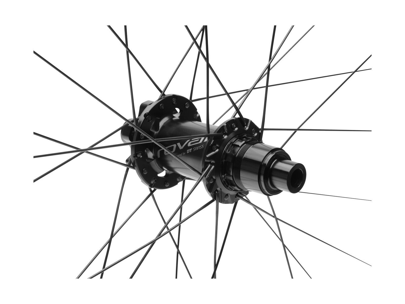 Specialized Roval Traverse SL Fattie 29 148, carbon/black - Bild 6