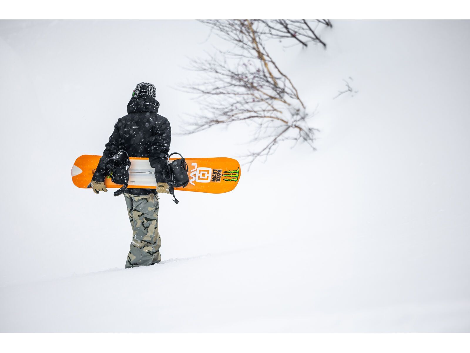 Bataleon Party Wave - Bild 7