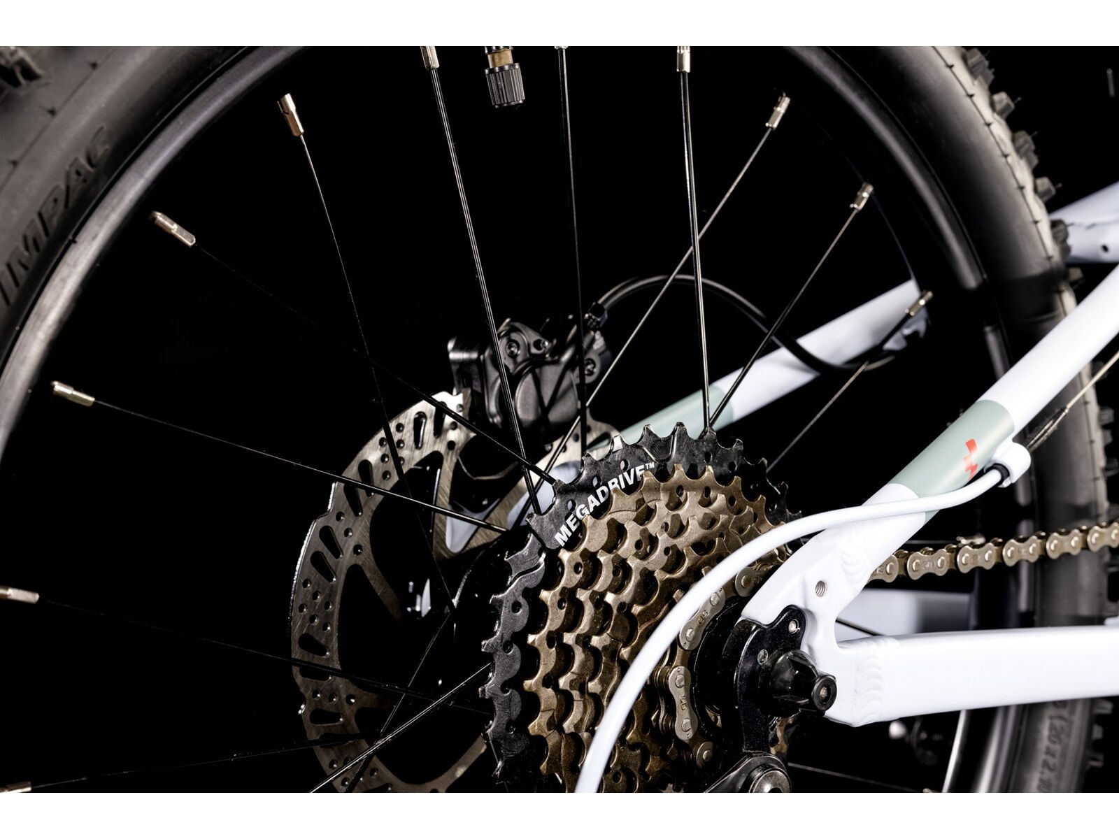 Cube Acid 200 Disc, blue´n´coral - Bild 4