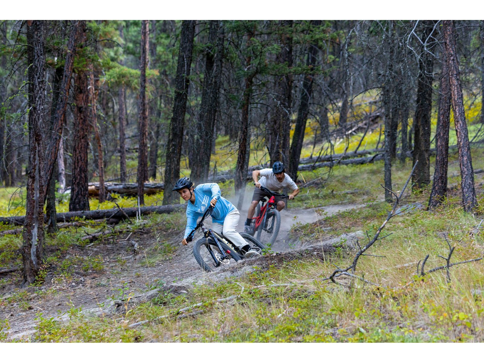 Santa Cruz 5010 C / GX AXS / RSV / MX, matte nickel - Bild 10