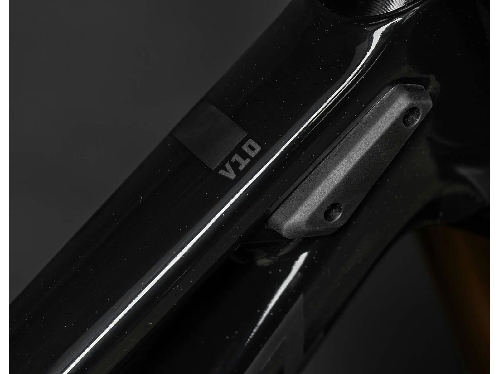 Santa Cruz V10 CC / DH S / 29, gloss black sparkle - Bild 2