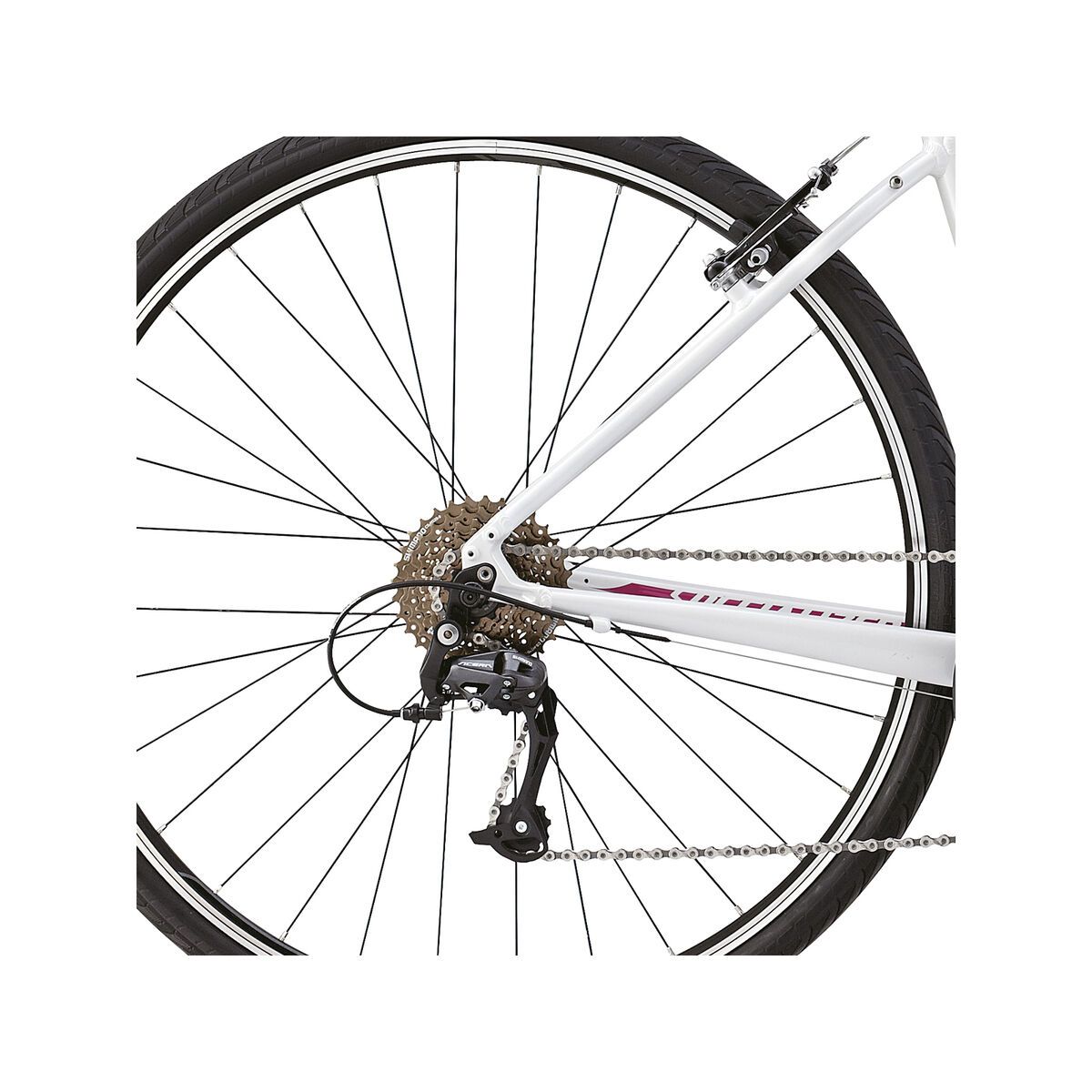 Specialized Vita Sport, Gloss Metallic White/Pink/Charcoal - Bild 4