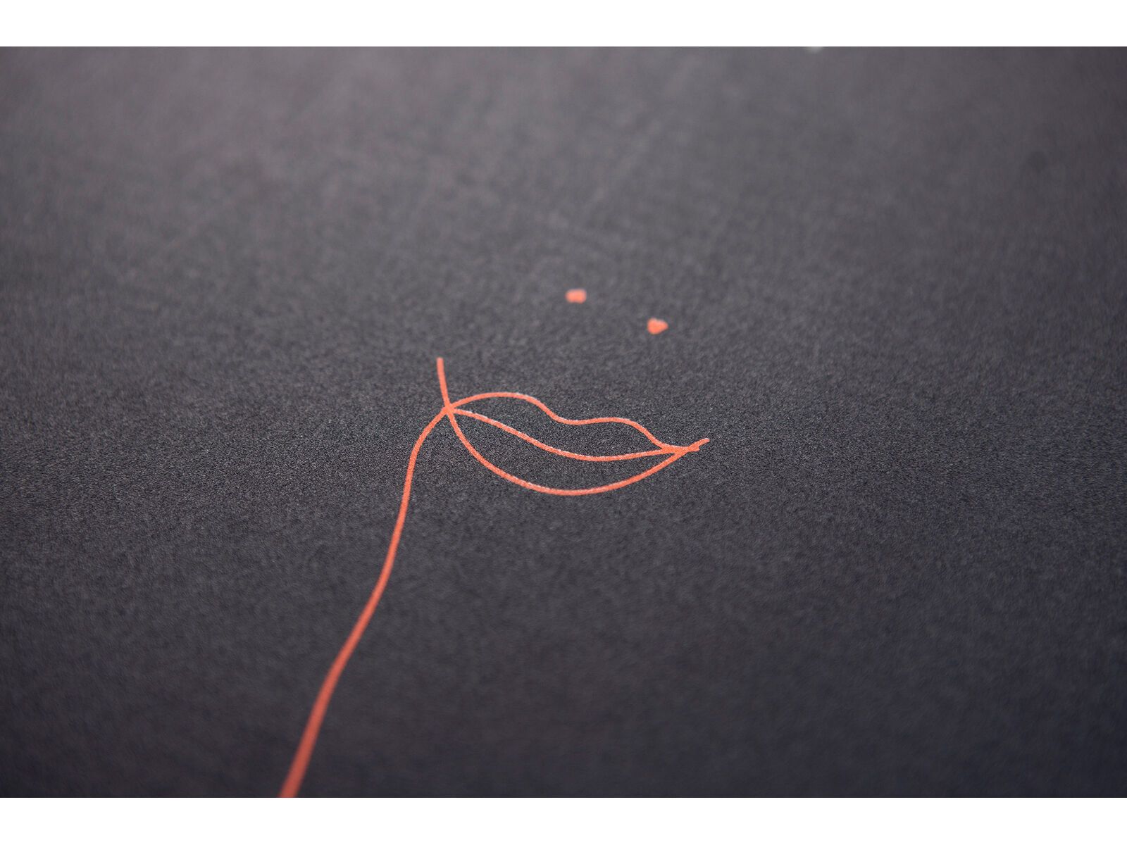 Nitro T1 X FFF - Bild 5