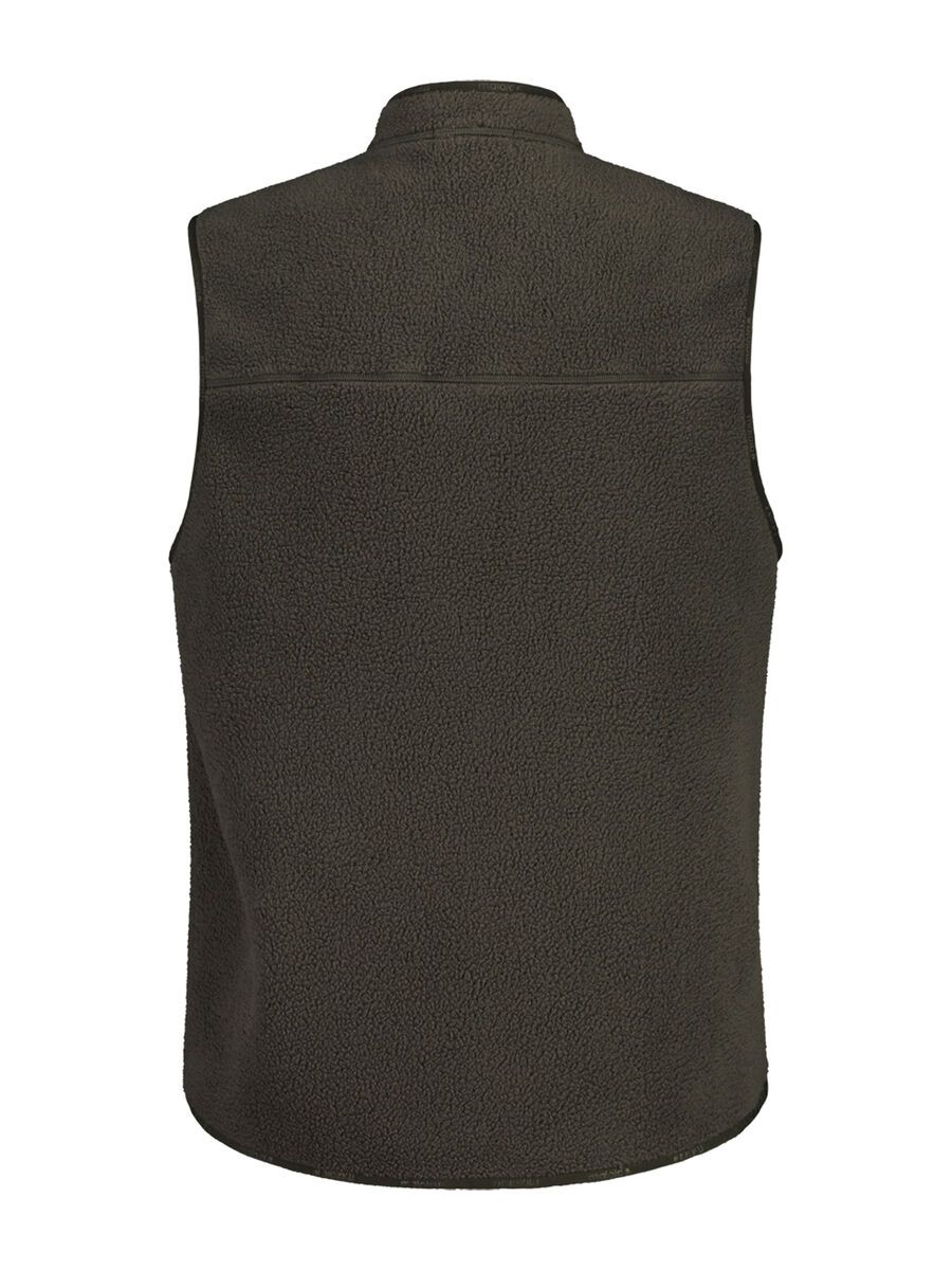 Maloja Brechtenm., alpine woods - Bild 2