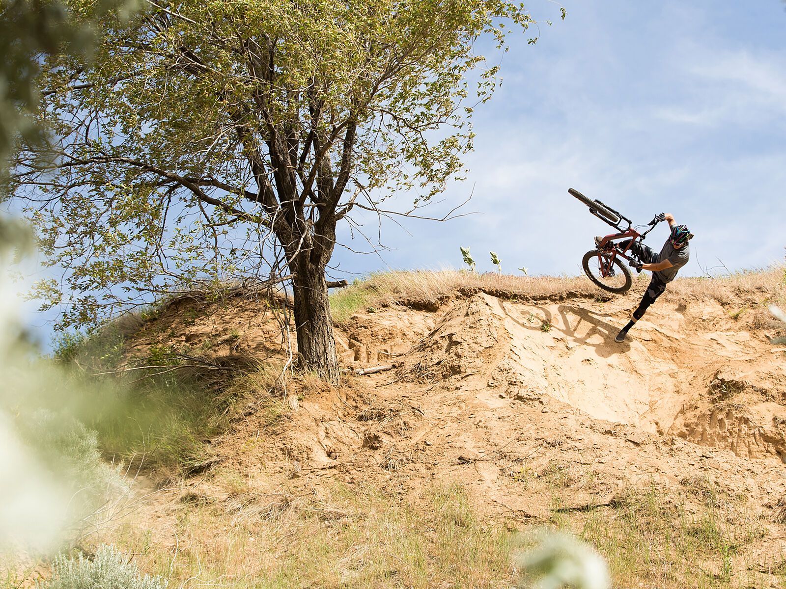 Santa Cruz 5010 C XT Reserve, loosely blue - Bild 6