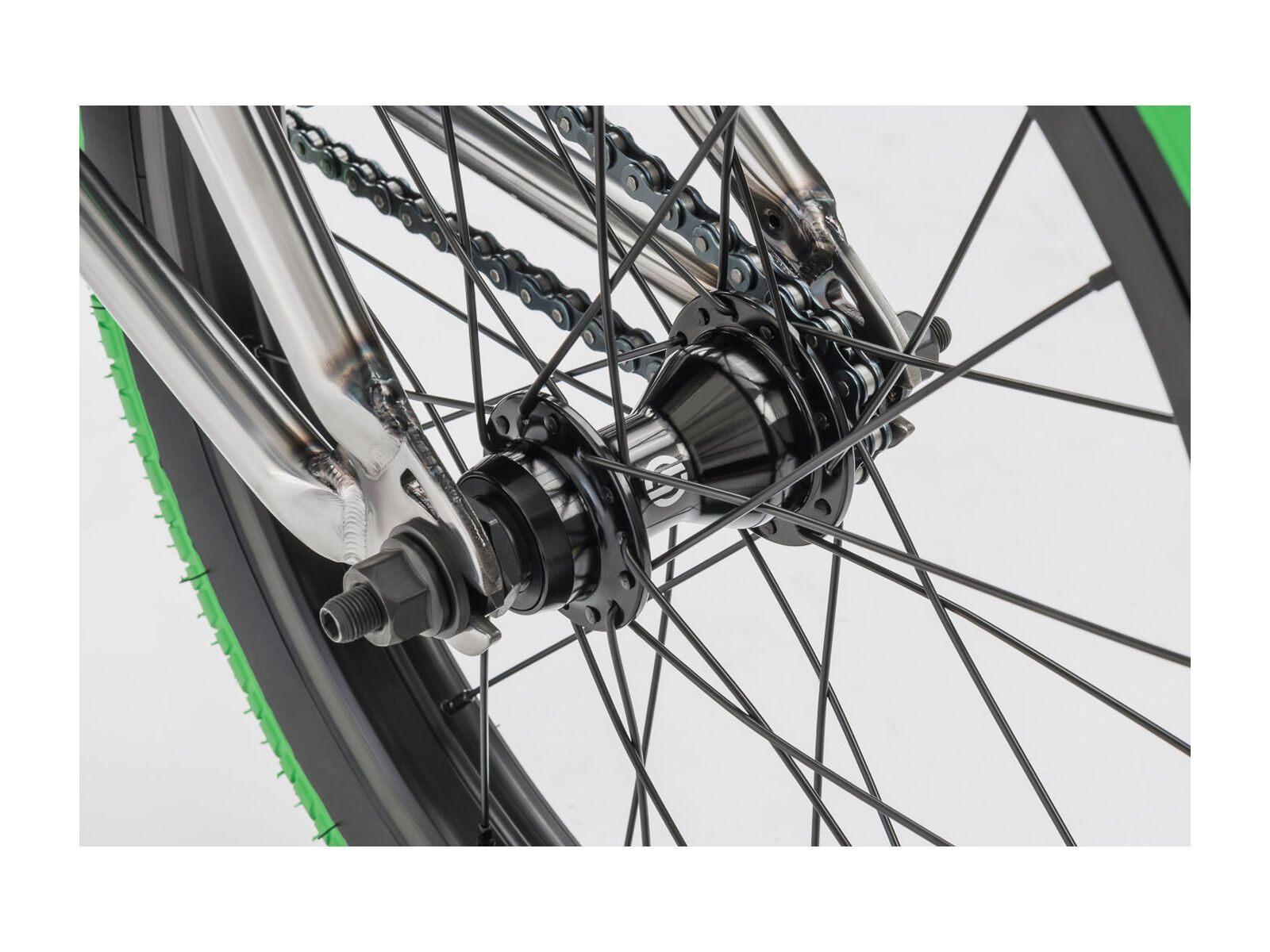 WeThePeople Curse 18, raw - Bild 5