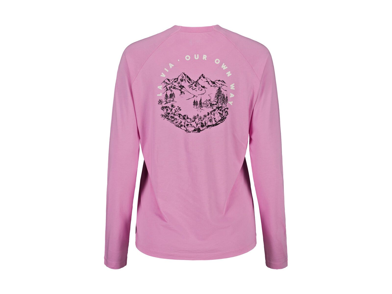 Maloja Allegrinim., winter magnolia - Bild 2