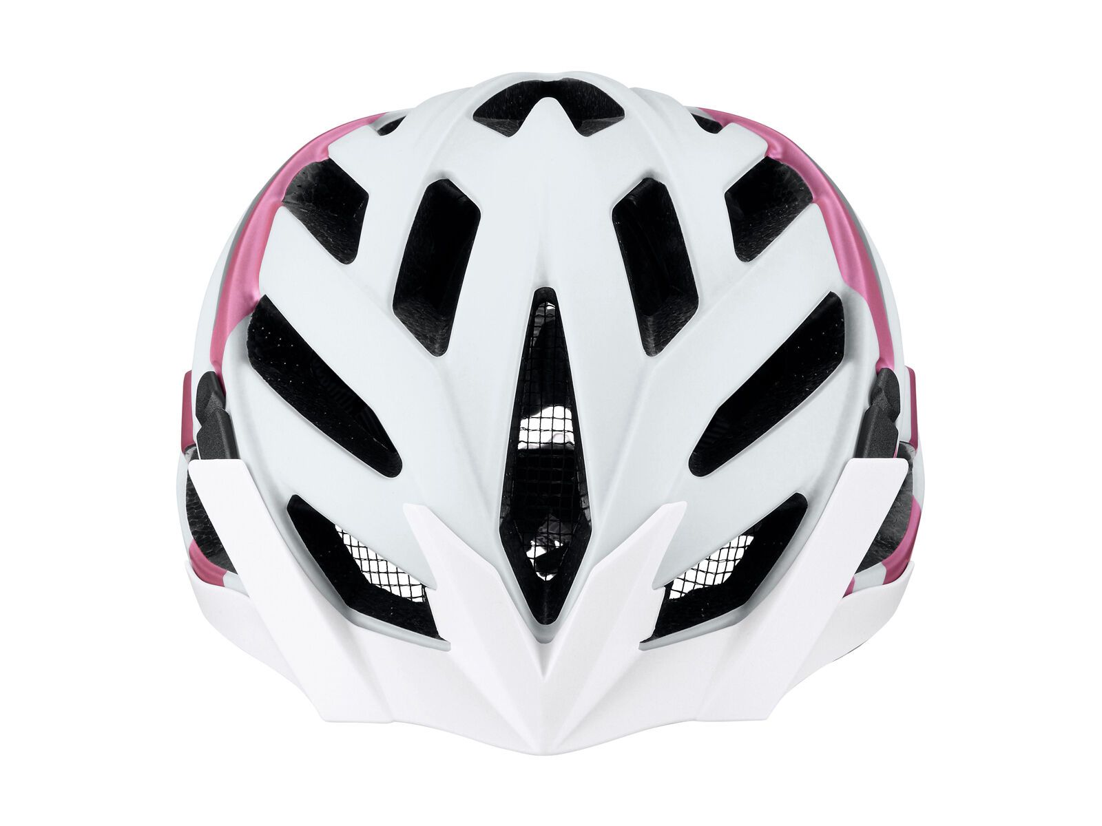 Alpina Panoma L.E., white-rose gold - Bild 2