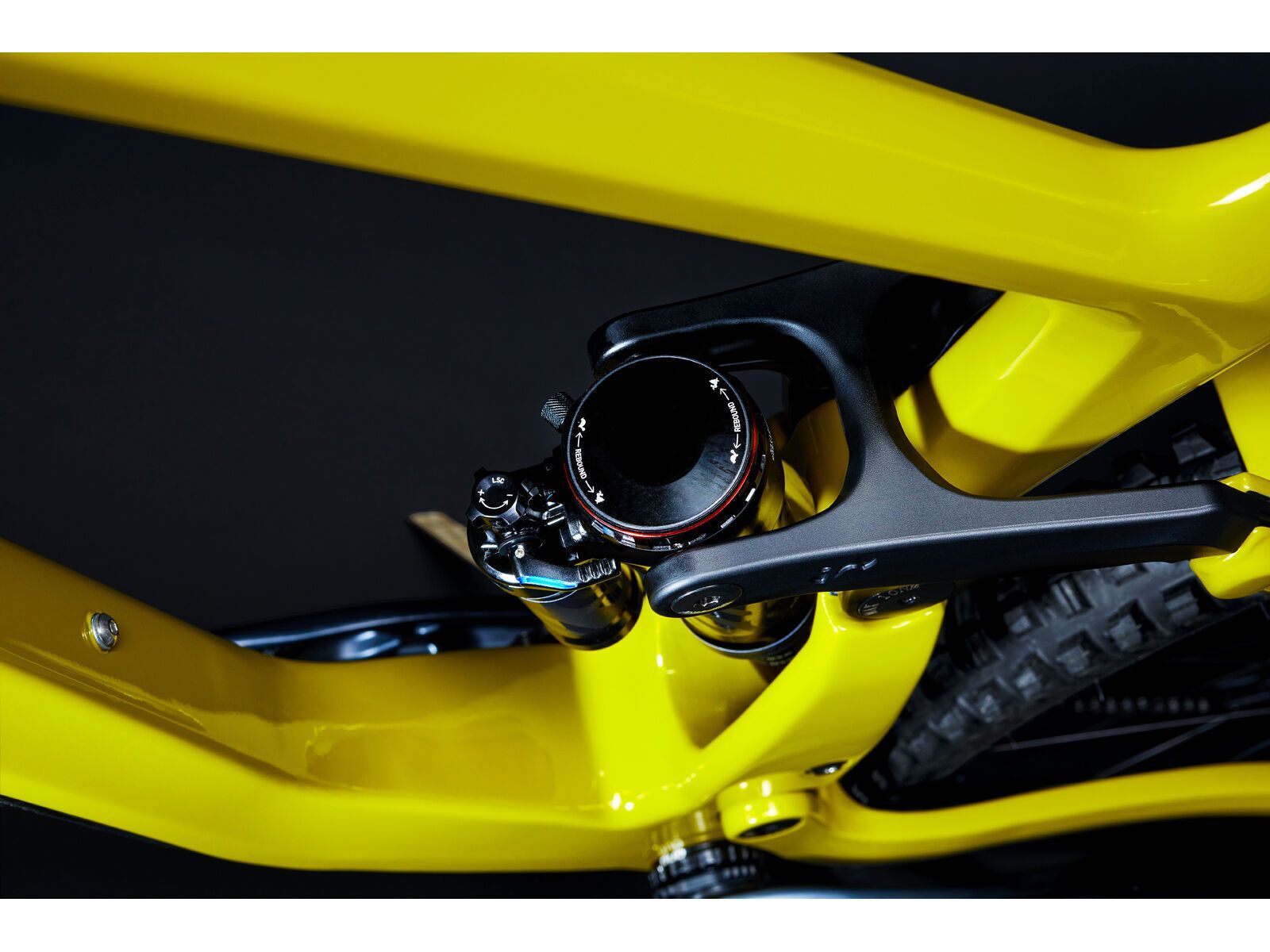 SCIU Aspen, moss yellow - Bild 11