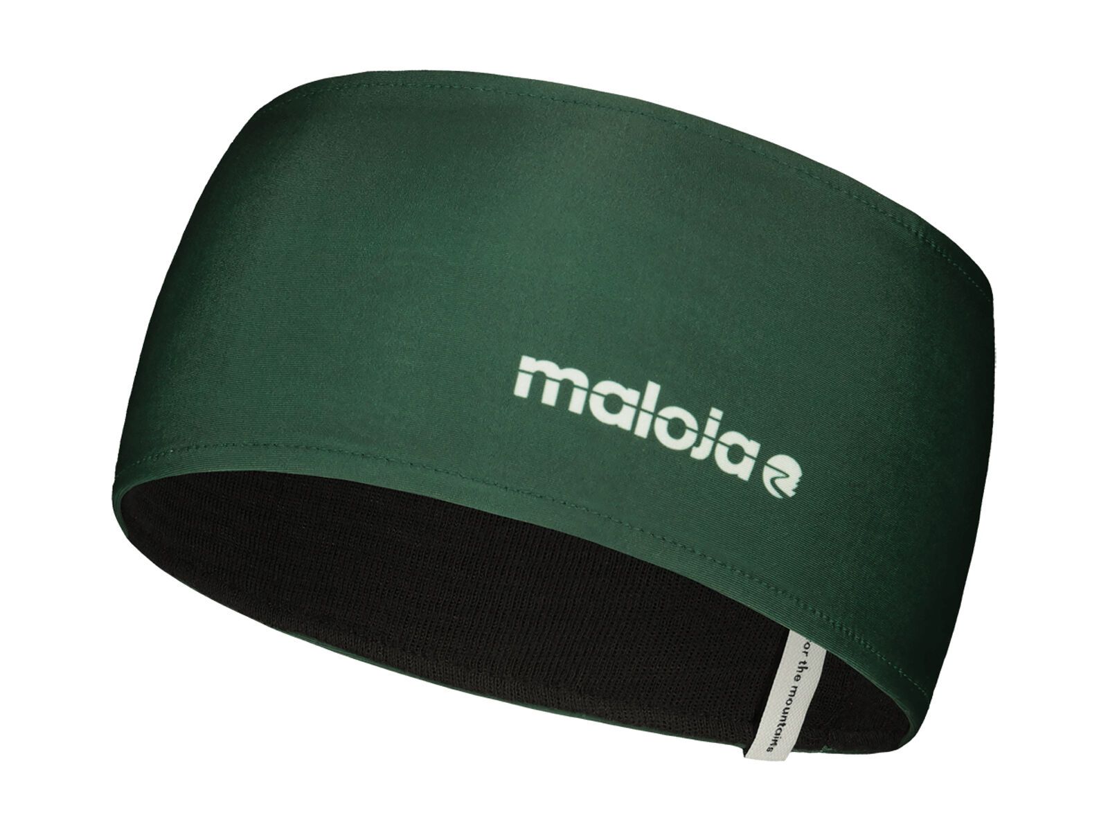 Maloja StrichkogelM., deep forest - Bild 1