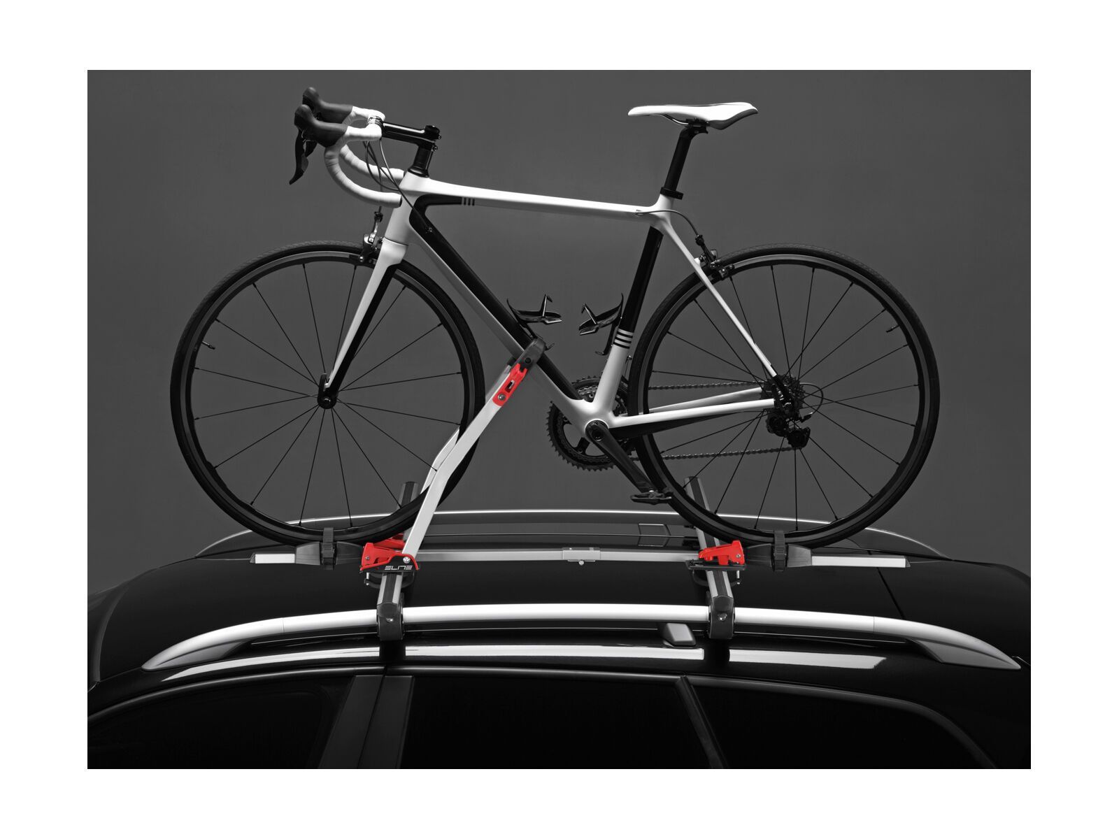 Elite Ronda Sport - Bild 4
